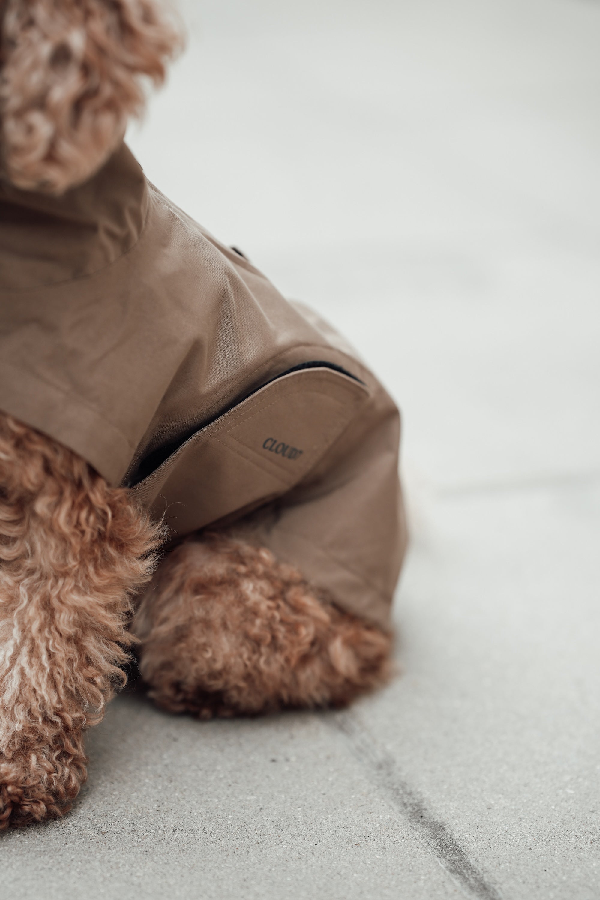 Cloud7 Hunderegenmantel Dublin Sandy Brown Regenmantel für Hunde Hunderegenmantel wasserdicht waschbar