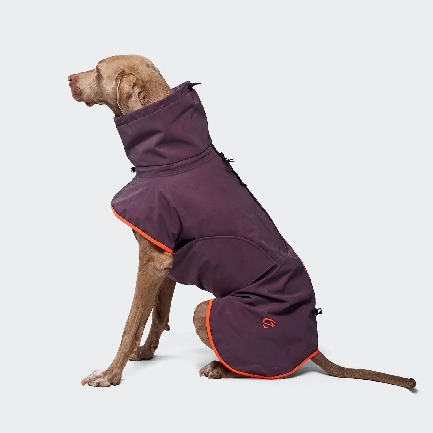 Cloud7 Hunderegenmantel AKTIV Aubergine/Orange Hundemantel große Hunde