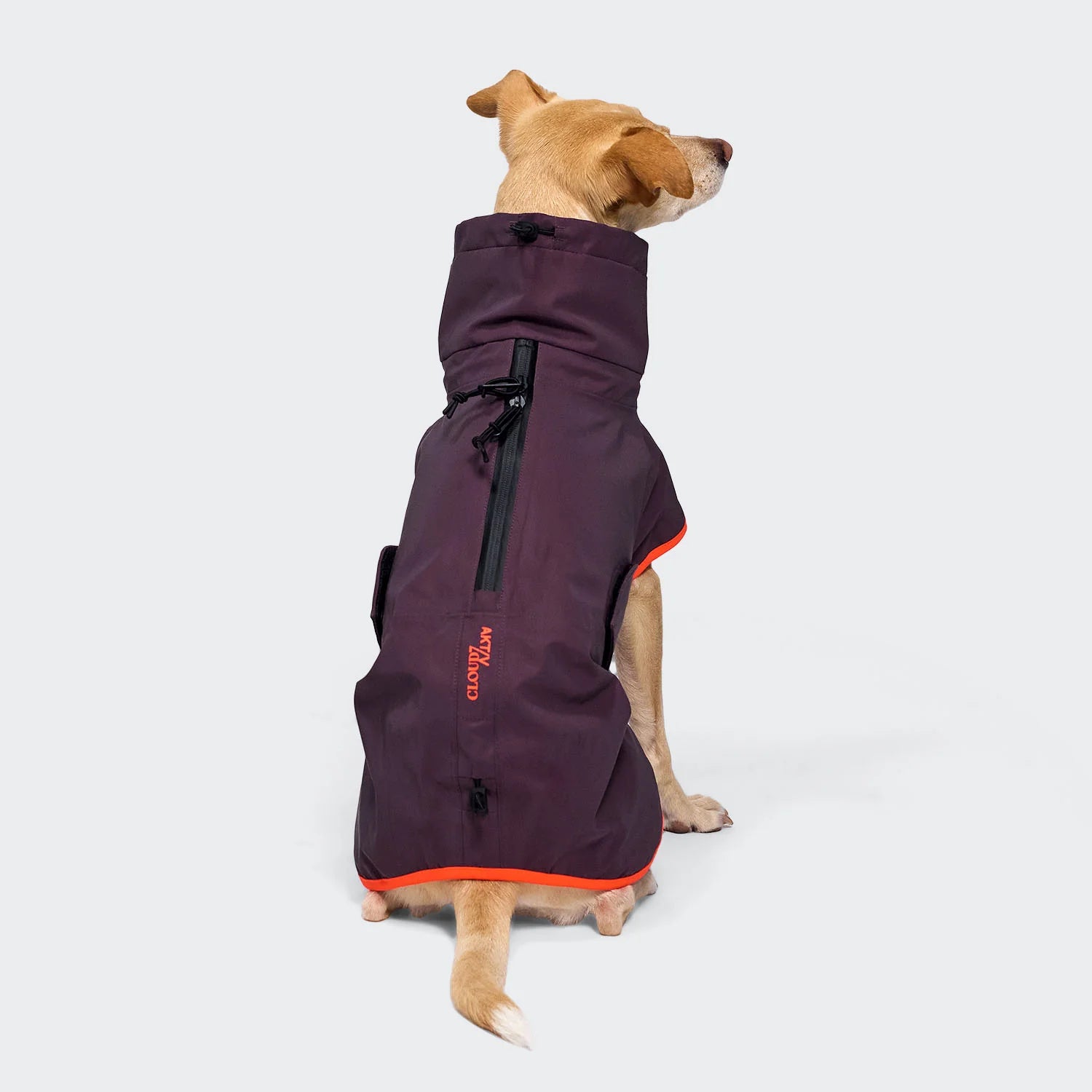Cloud7 Hunderegenmantel AKTIV Aubergine/Orange Hundemantel kleine Hunde