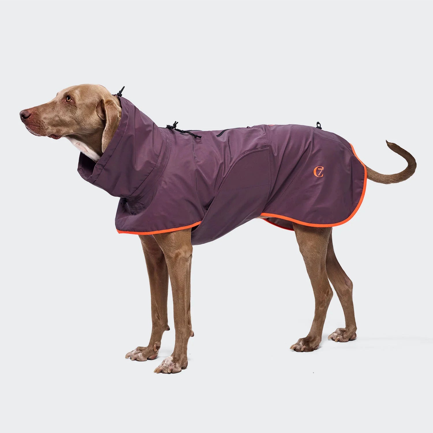 Cloud7 Hunderegenmantel AKTIV Aubergine/Orange Hundemantel