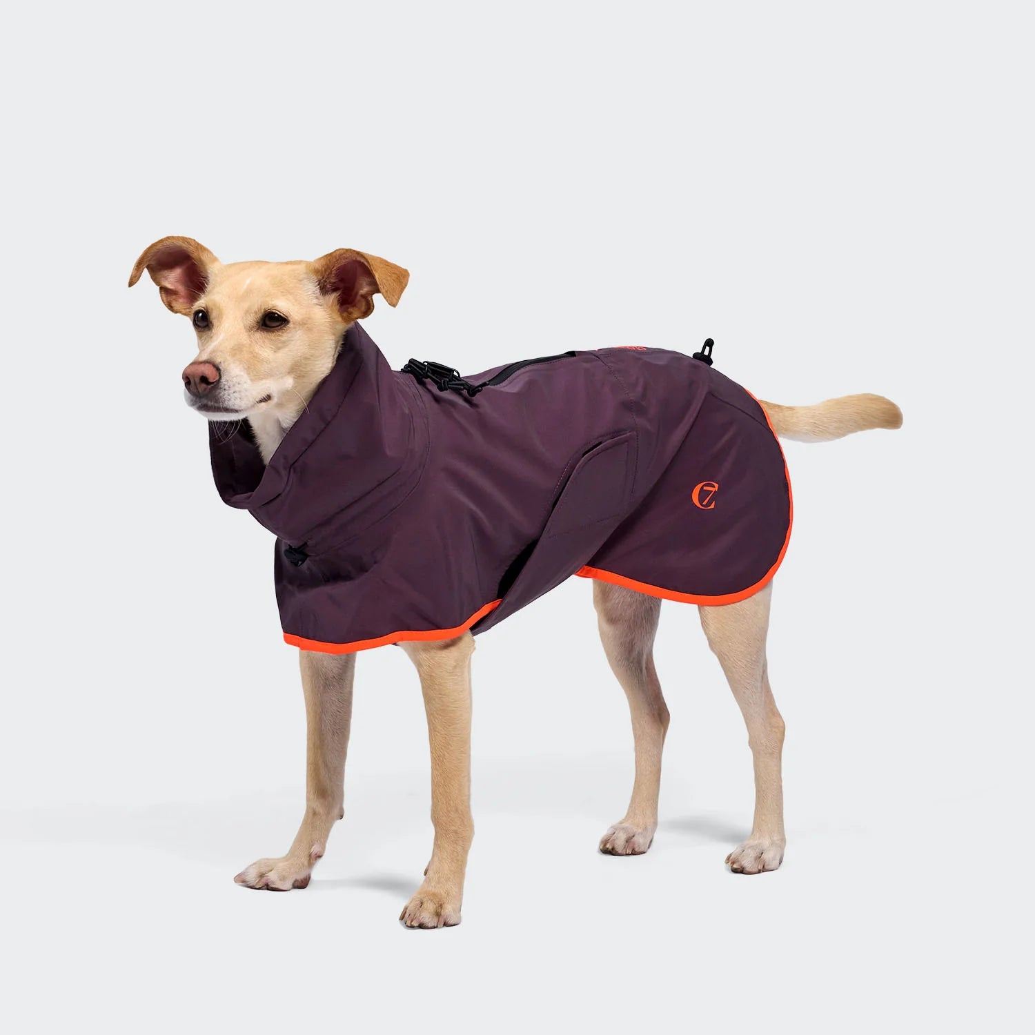 Cloud7 Hunderegenmantel AKTIV Aubergine/Orange Hunderegenmantel wasserdicht