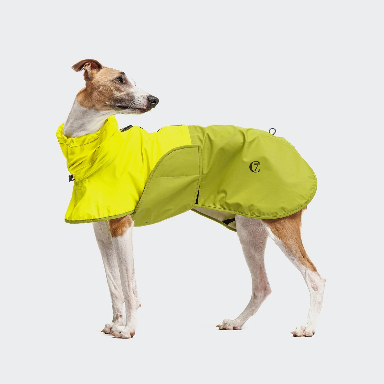 Cloud7 Hunderegenmantel AKTIV Neon-Green / Light-Olive Hundemantel große Hunde