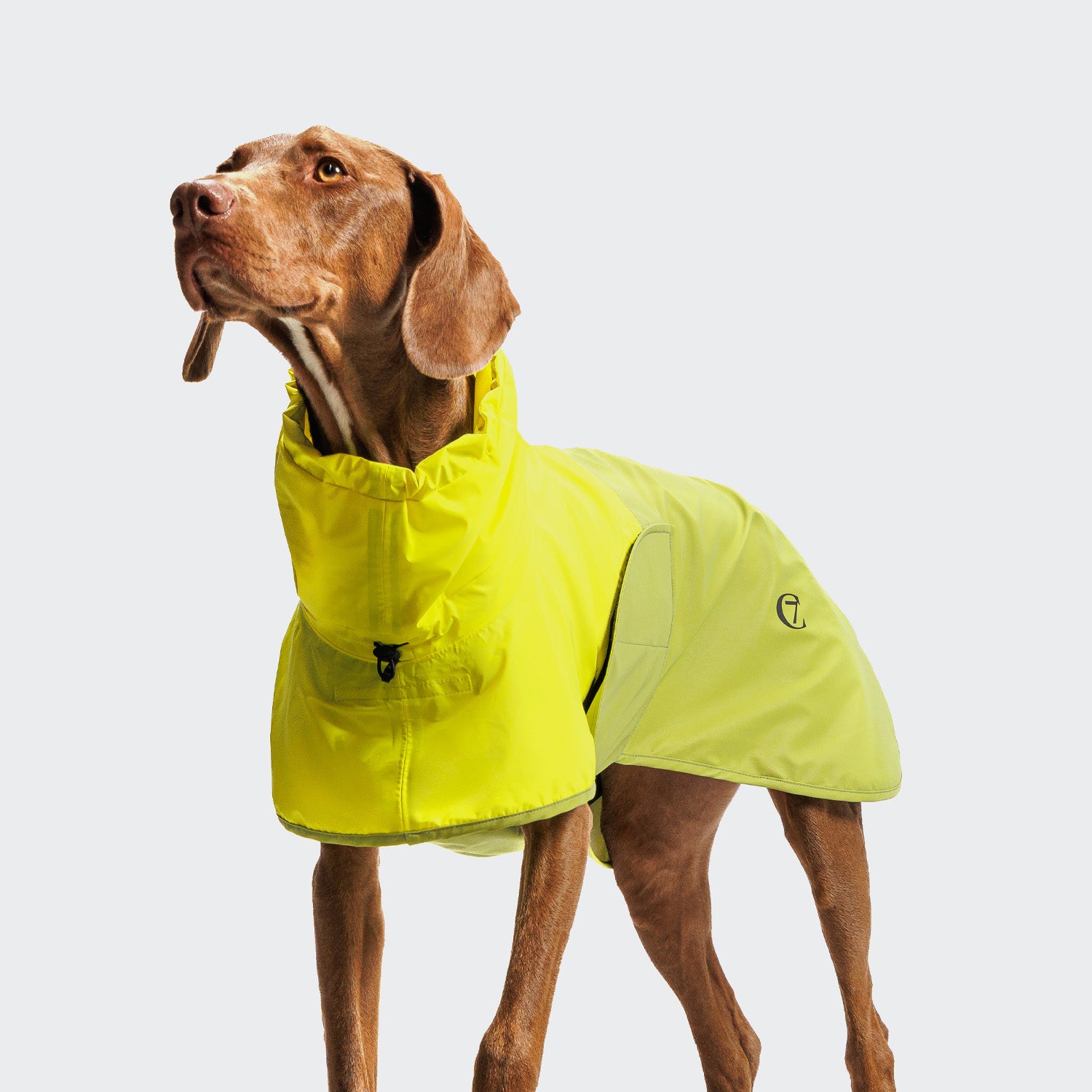 Cloud7 Hunderegenmantel AKTIV Neon-Green / Light-Olive Hundemantel mit Bauchschutz