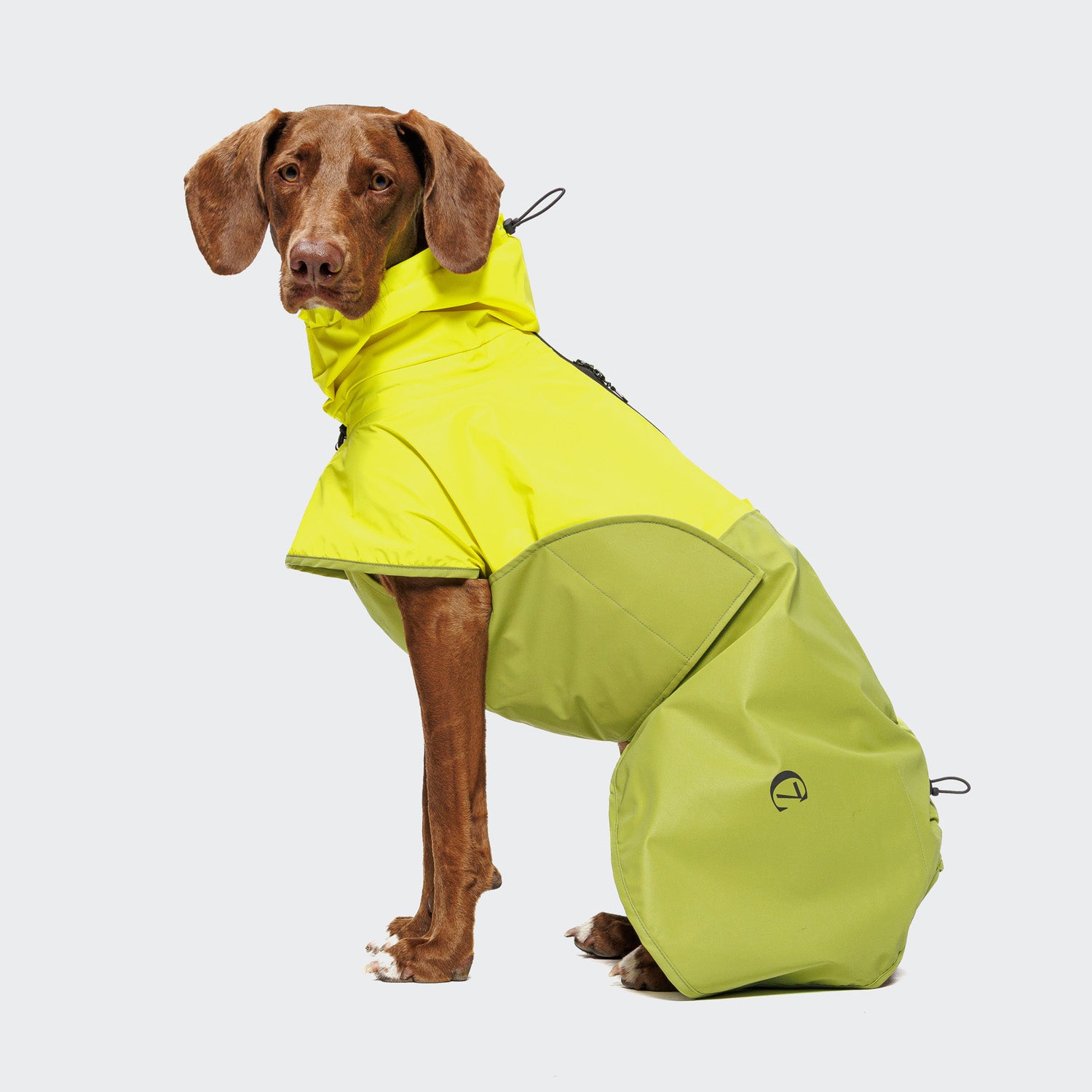 Cloud7 Hunderegenmantel AKTIV Neon-Green / Light-Olive Hundemantel reflektierend