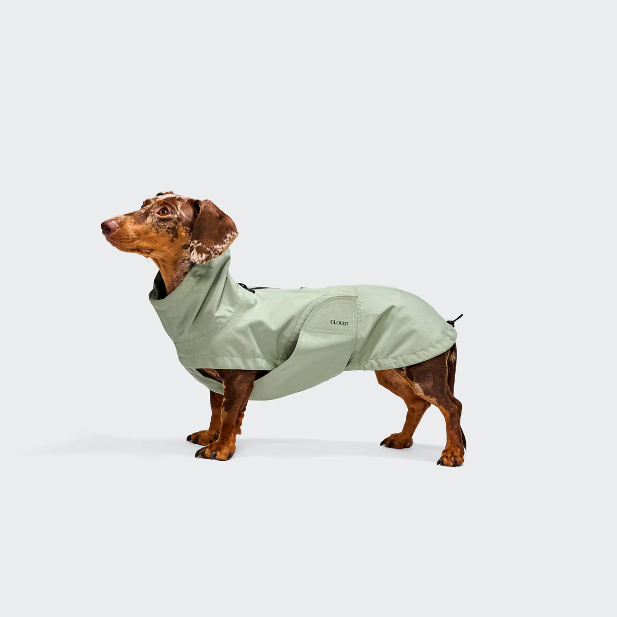 Cloud7 Hunderegenmantel DACKEL Dublin 2.0 Dusty Mint Hunderegenmantel wasserdicht