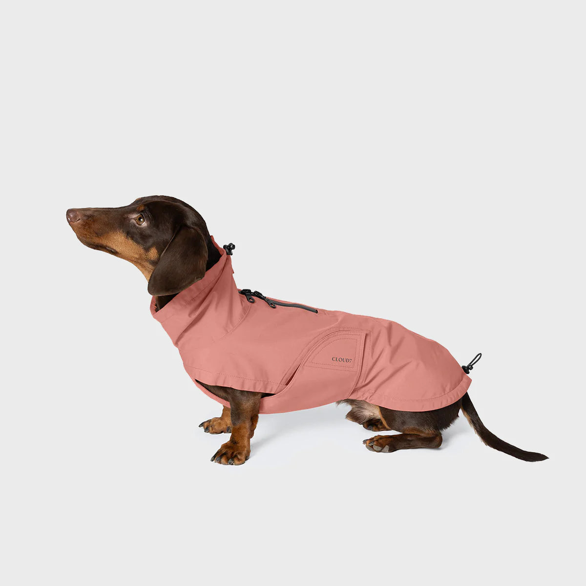 Cloud7 Hunderegenmantel DACKEL Dublin 2.0 Faded Rose Hundemantel Zwergdackel