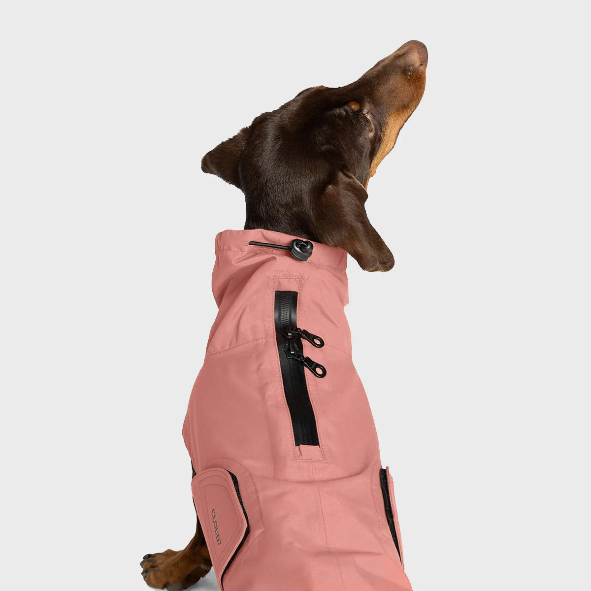 Cloud7 Hunderegenmantel DACKEL Dublin 2.0 Faded Rose Hundemantel kleine Hunde