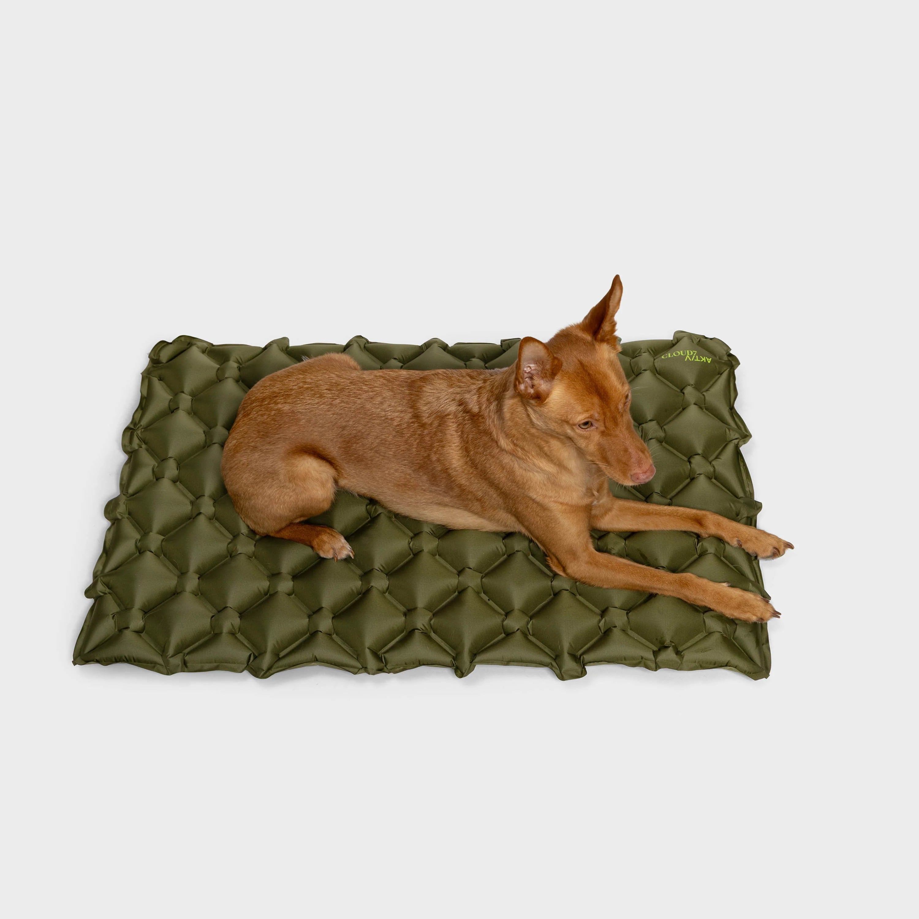 Cloud7 Hundereisematte Air AKTIV Khaki Hundebett für unterwegs