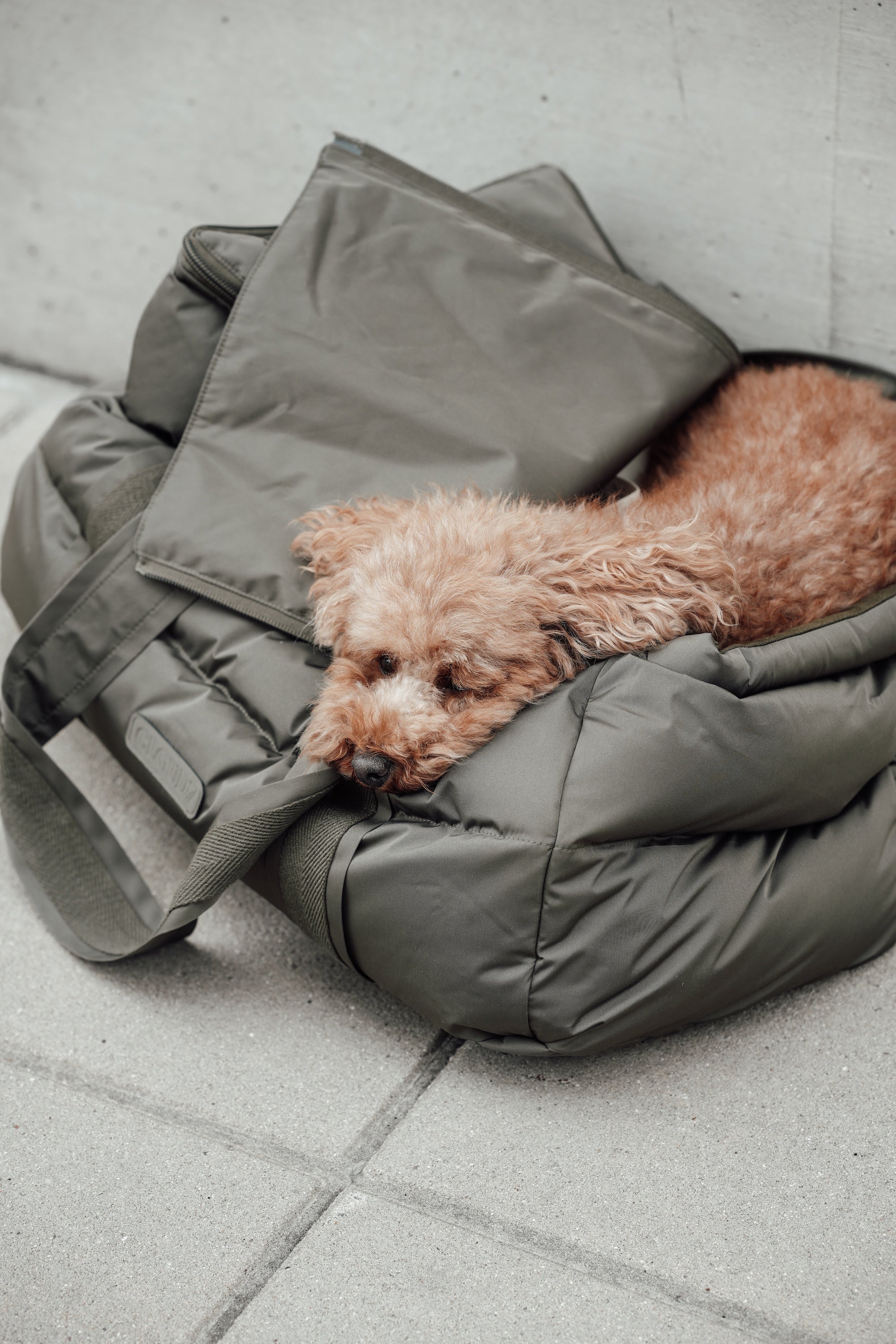 Cloud7 Hundetasche Montreal Hundetasche zum Reisen