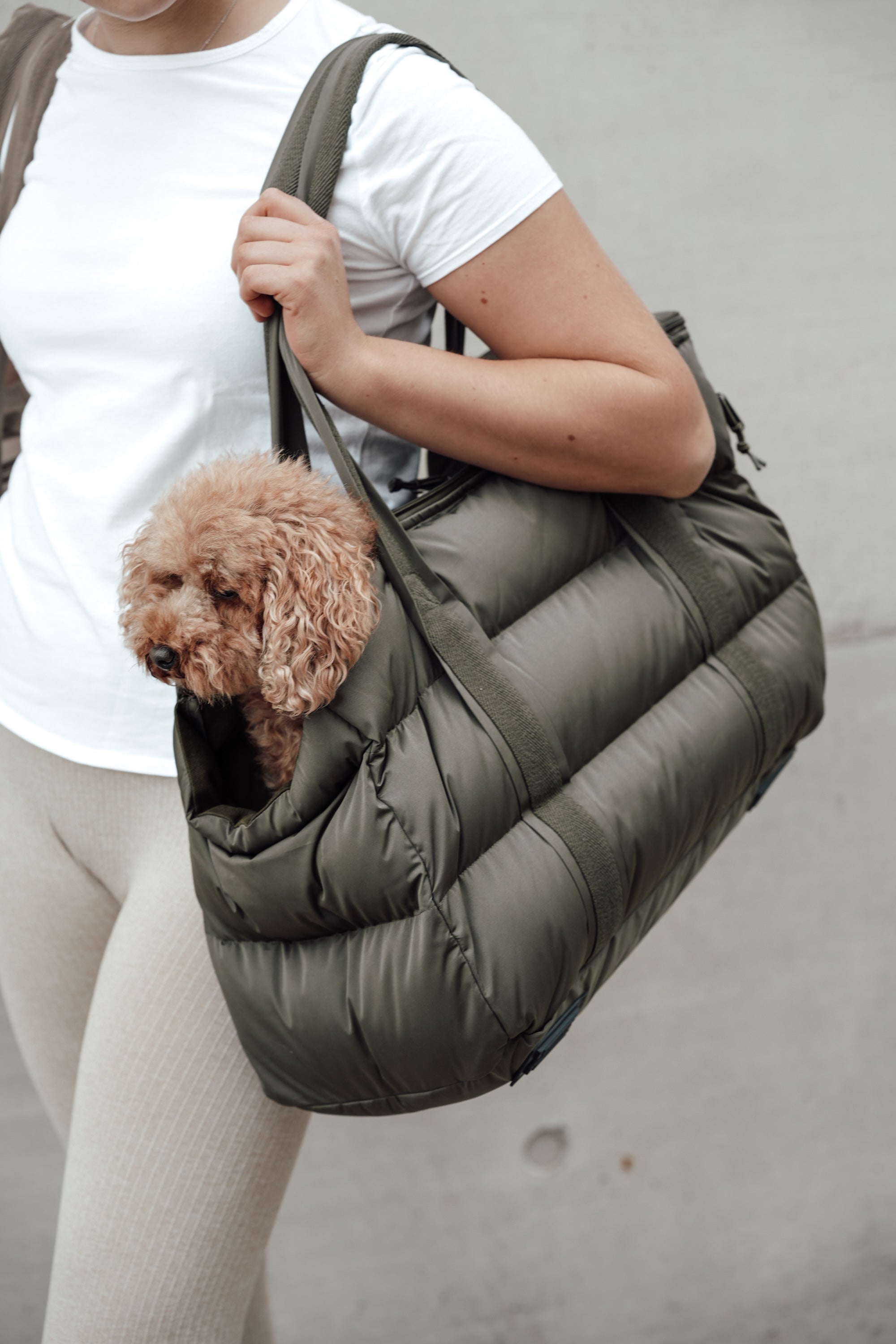 Cloud7 Hundetasche Montreal Hundetragetasche gepolstert