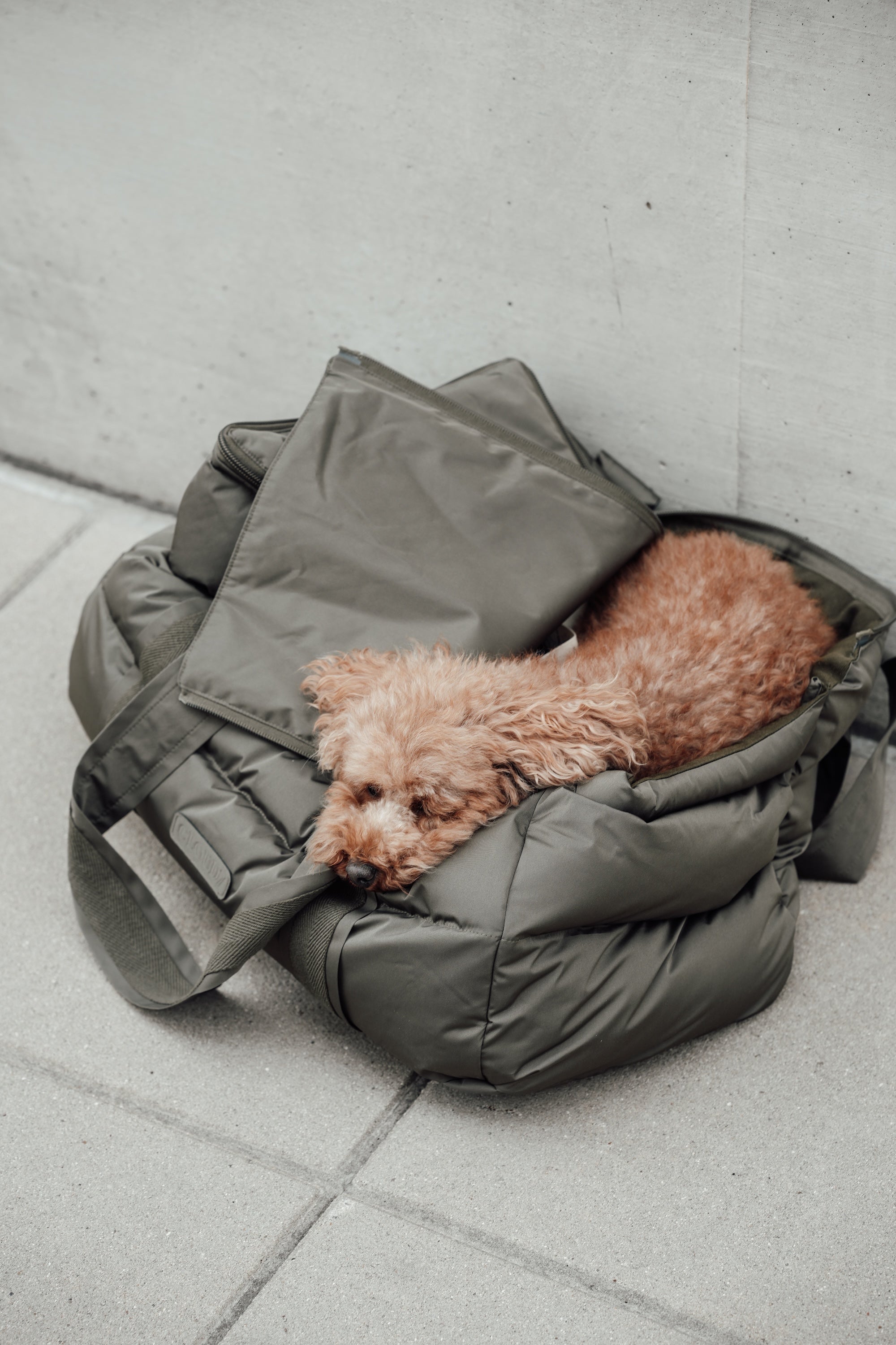 Cloud7 Hundetasche Montreal Reisetasche Hund zum Umhängen