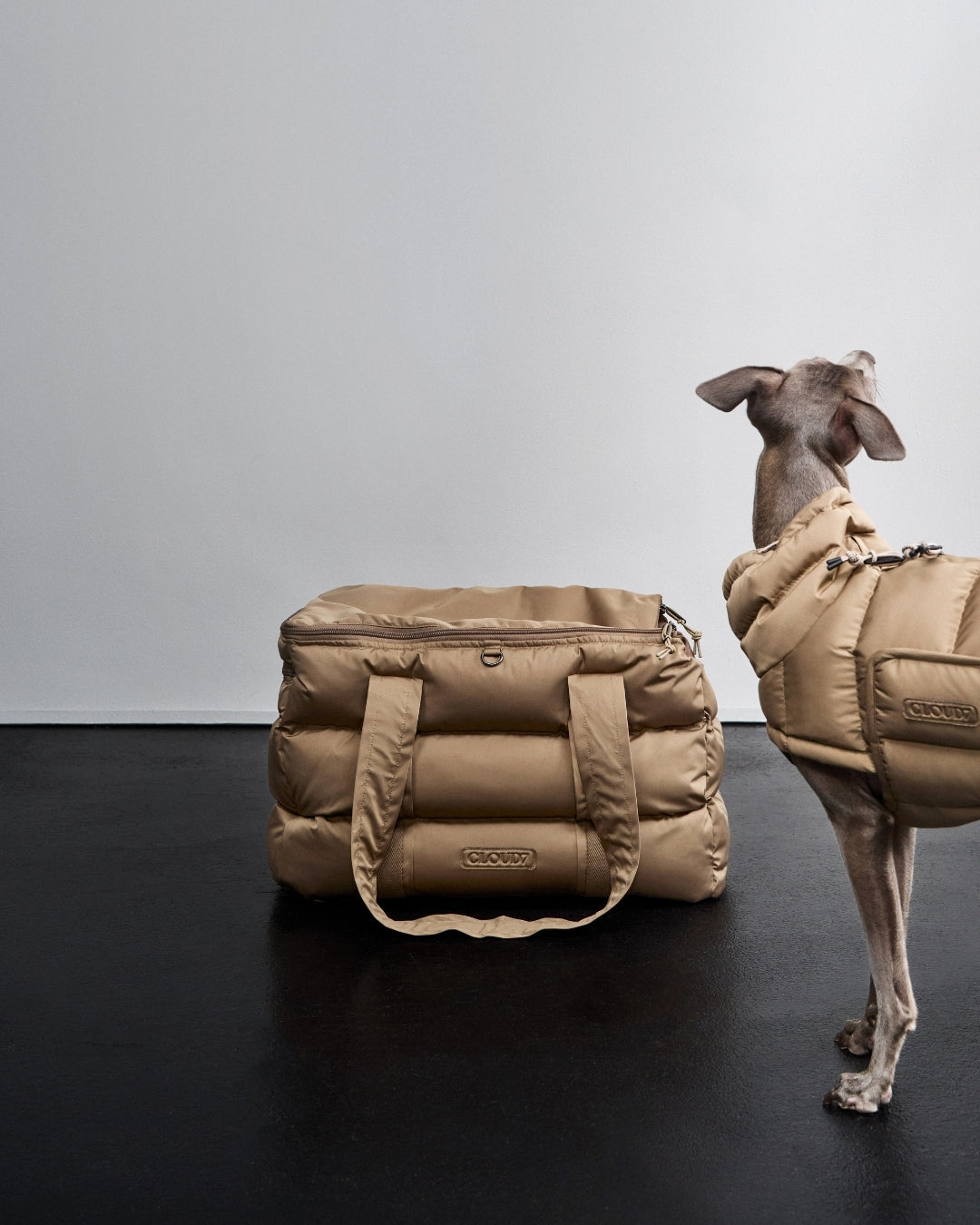 Cloud7 Hundetasche Montreal Sandy Brown Dackeltragetasche Tasche für Hunde Tragetasche für Dackel