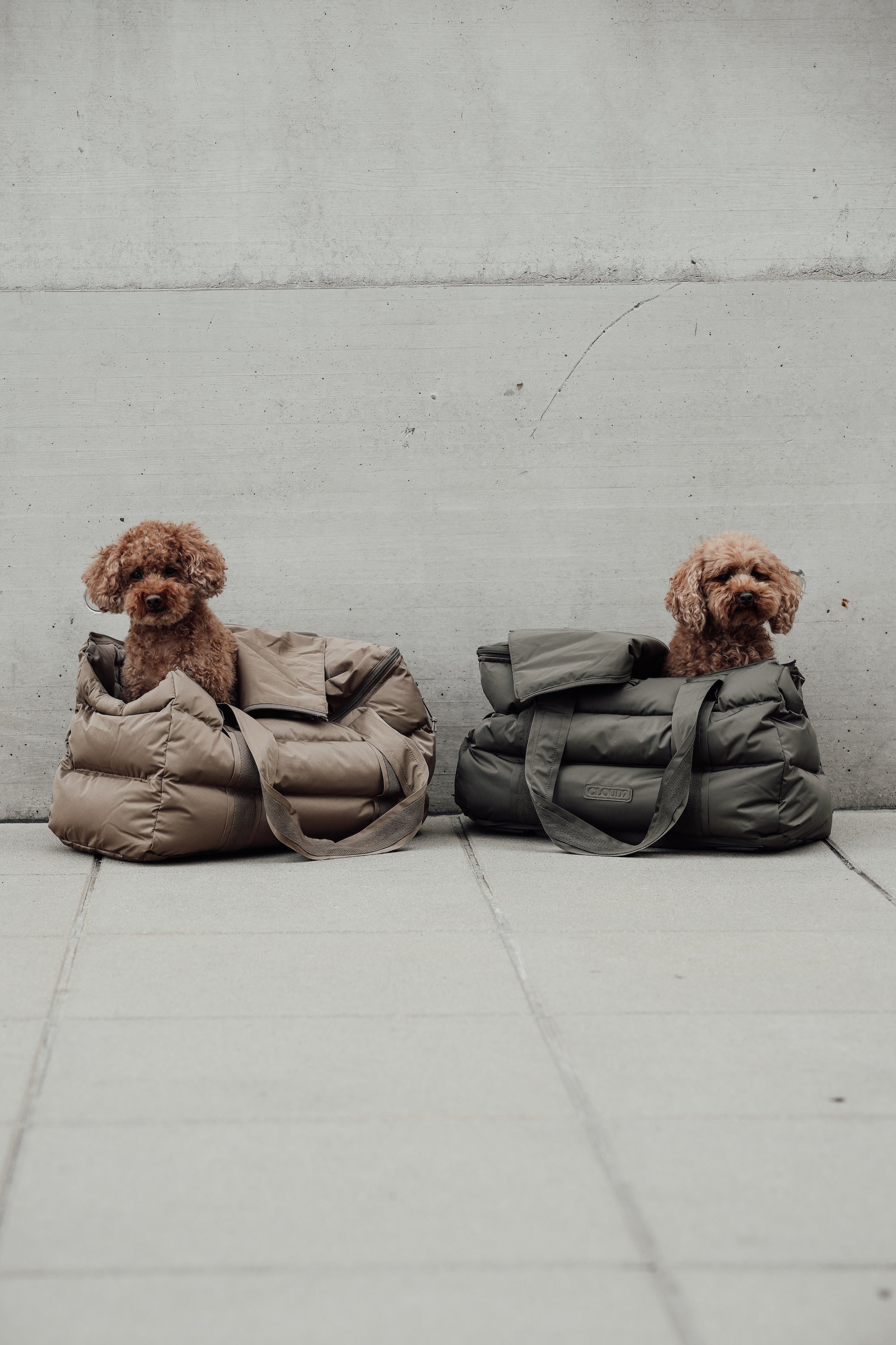 Cloud7 Hundetasche Montreal Tragetasche Hund für unterwegs