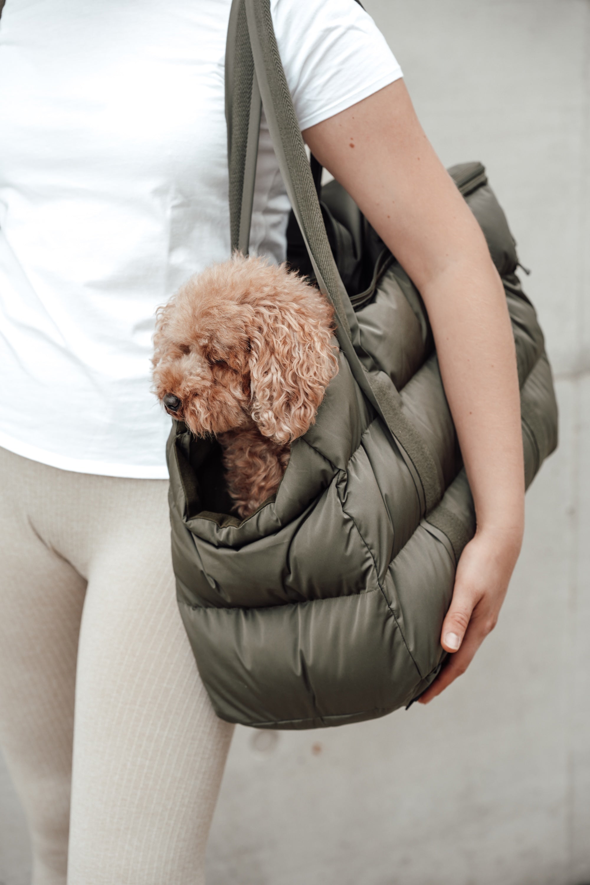 Cloud7 Hundetasche Montreal Tragetasche Hund