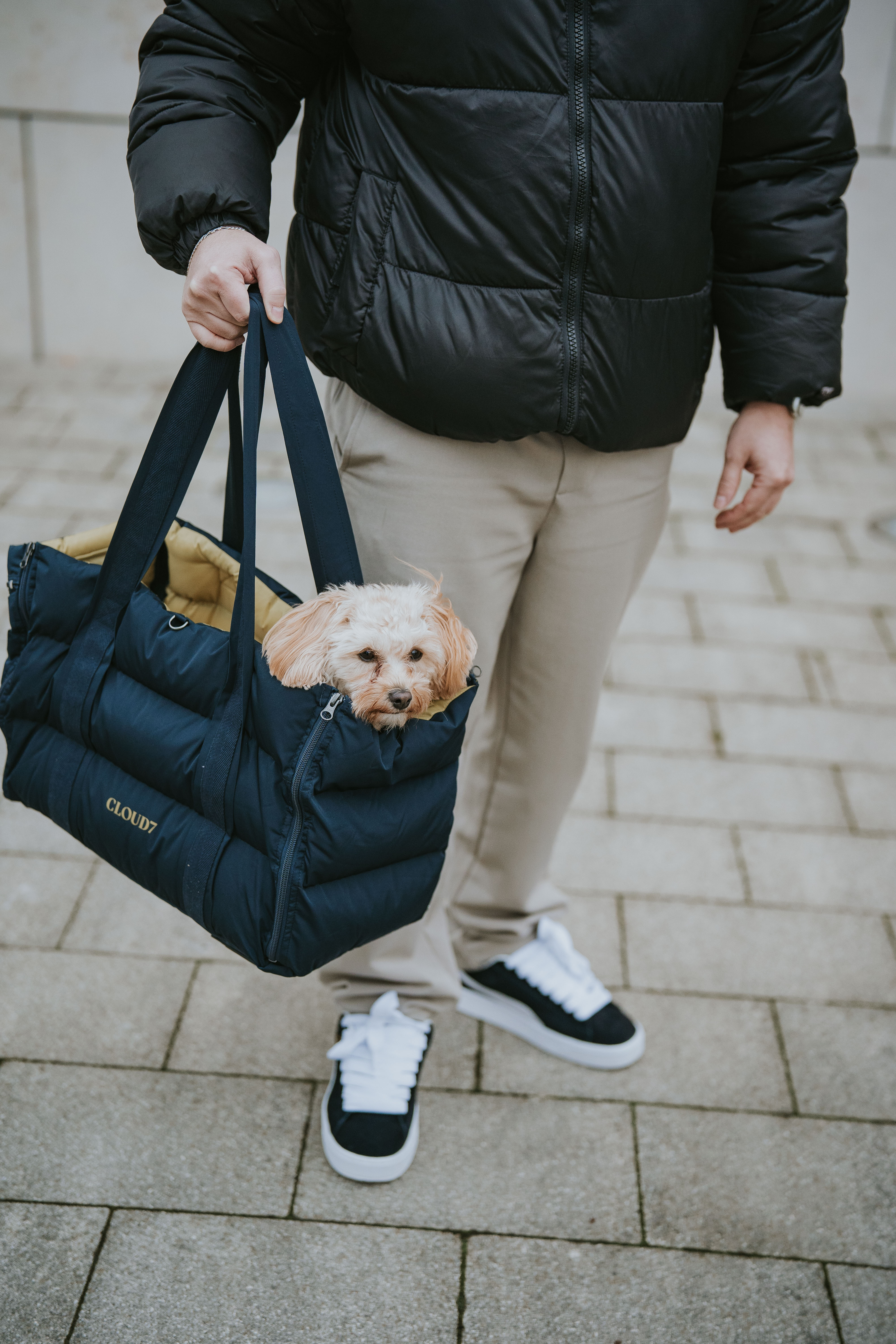 Cloud7 Hundetasche Montreal 2-in-1 Navy Hundetragetasche zum Umhängen Dackel