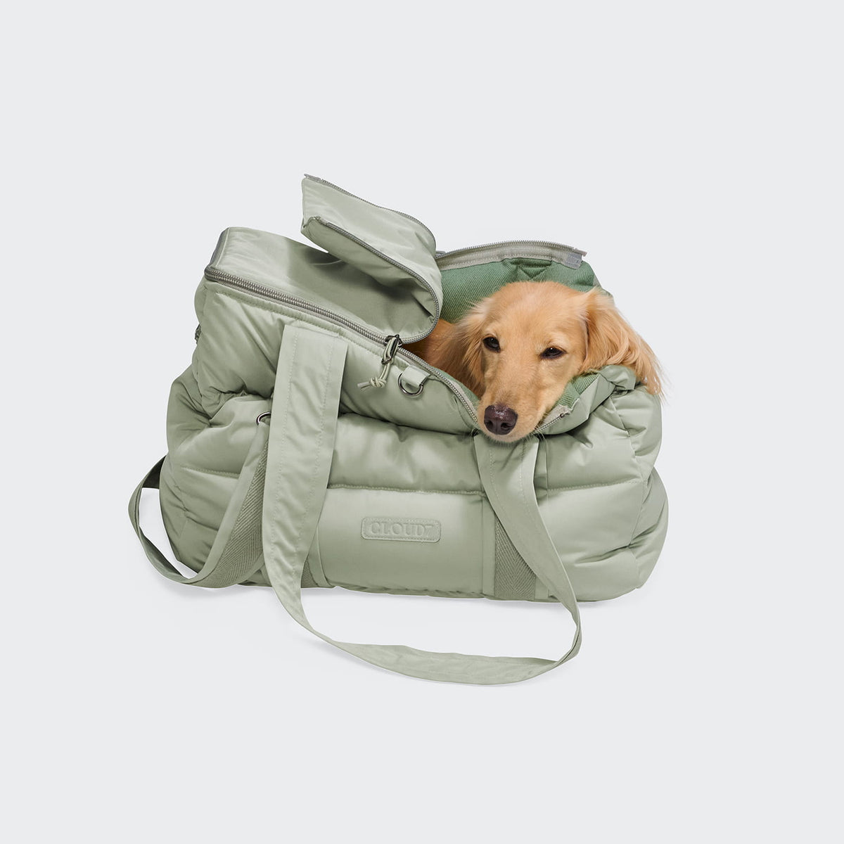 Cloud7 Hundetasche Montreal 2.0 Dusty Mint Hundetragetasche große Hunde