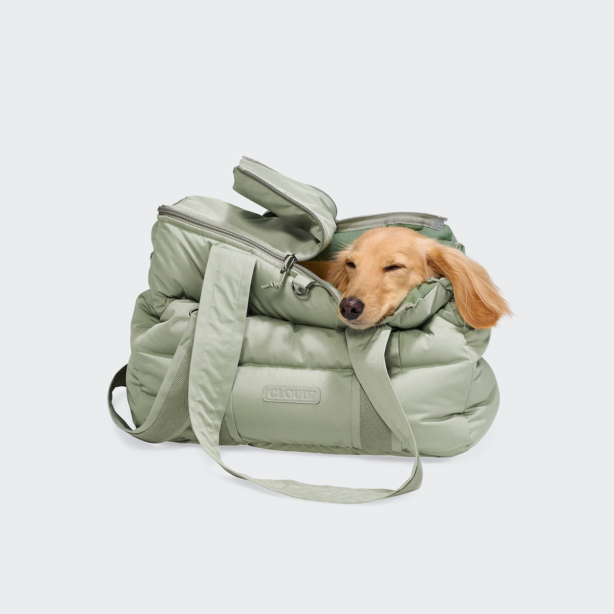 Cloud7 Hundetasche Montreal 2.0 Dusty Mint Hundetragetasche kleine Hunde
