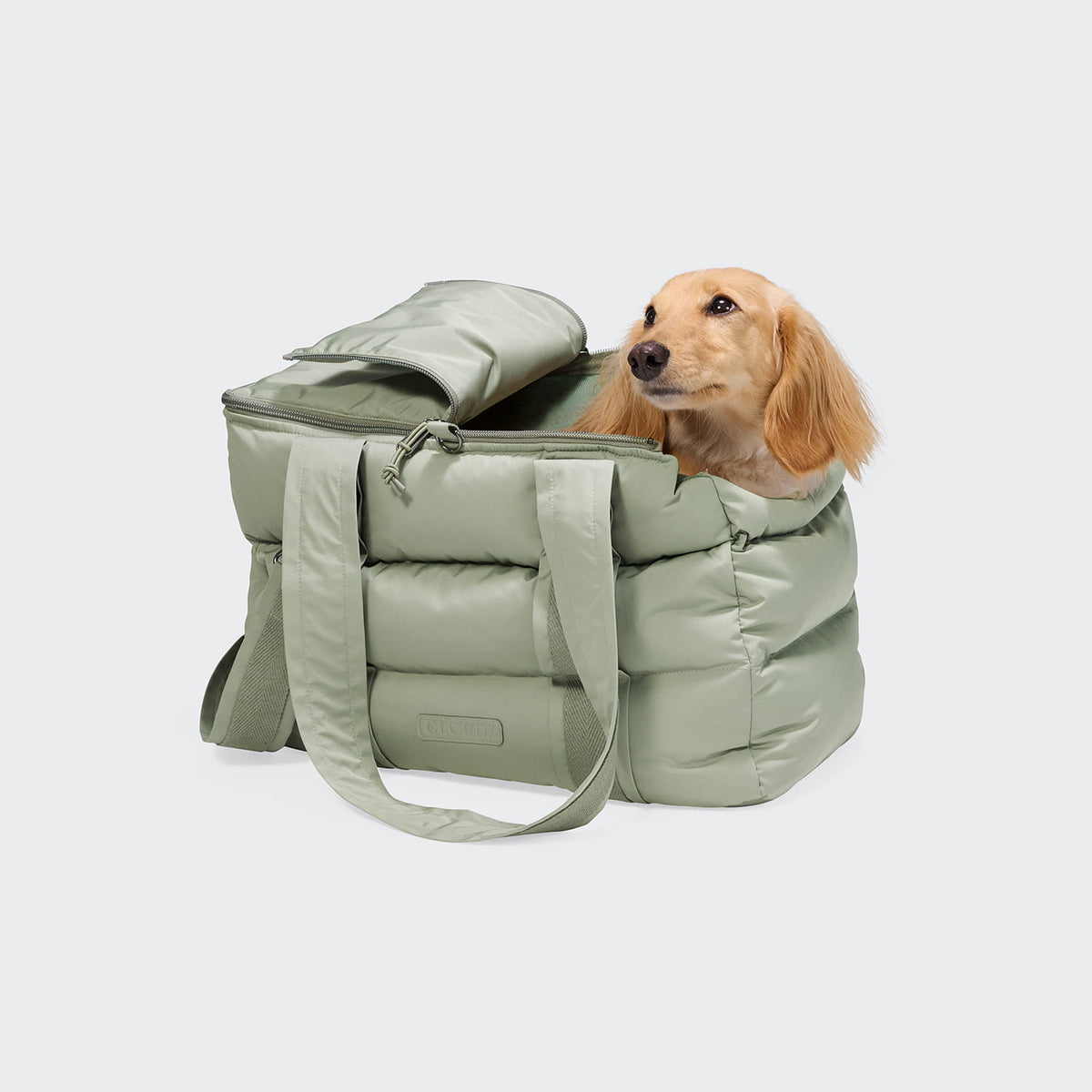 Cloud7 Hundetasche Montreal 2.0 Dusty Mint Welpentasche