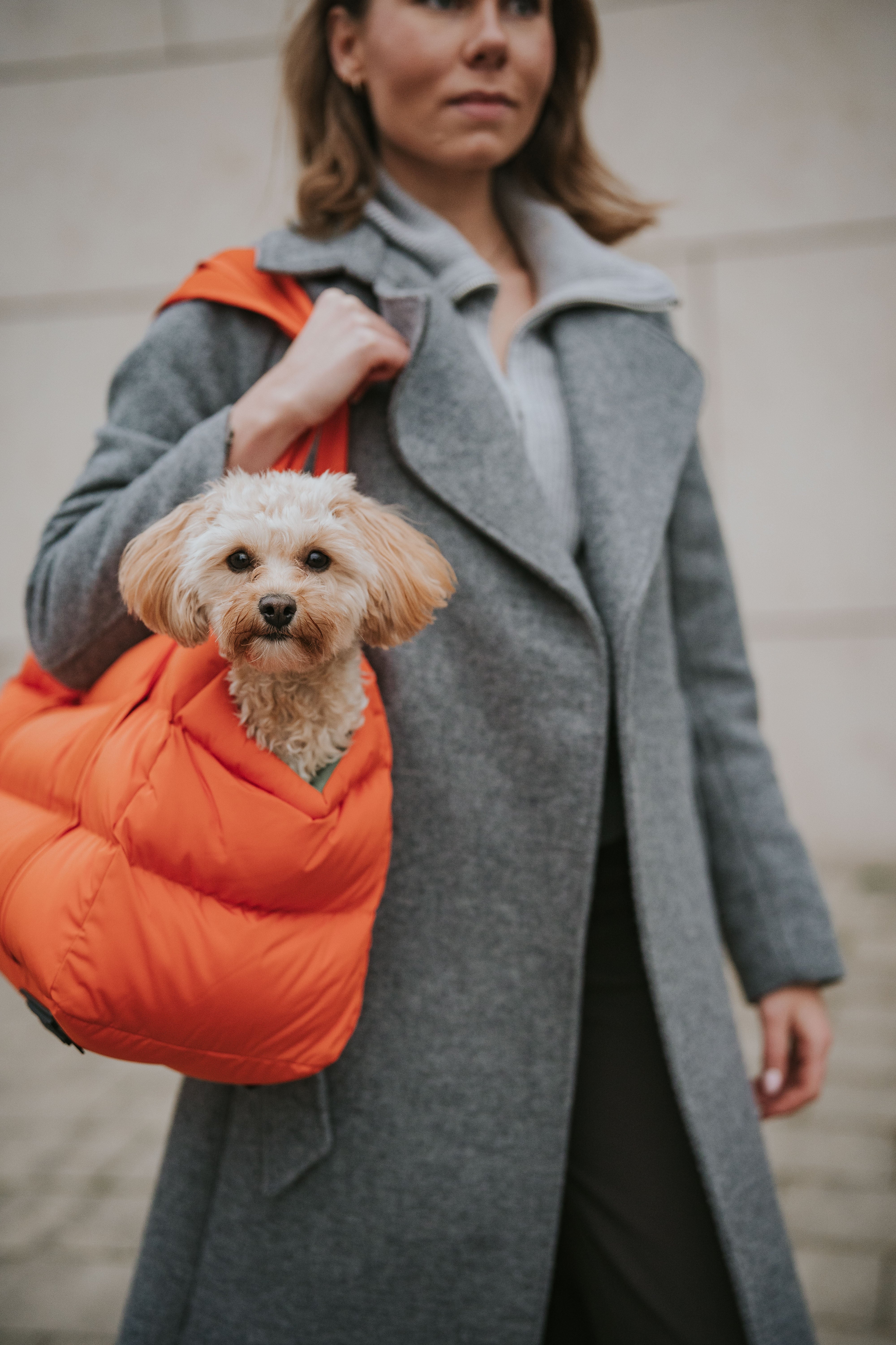 Cloud7 Hundetasche Montreal Burnt Orange Hundetragetasche Dackel