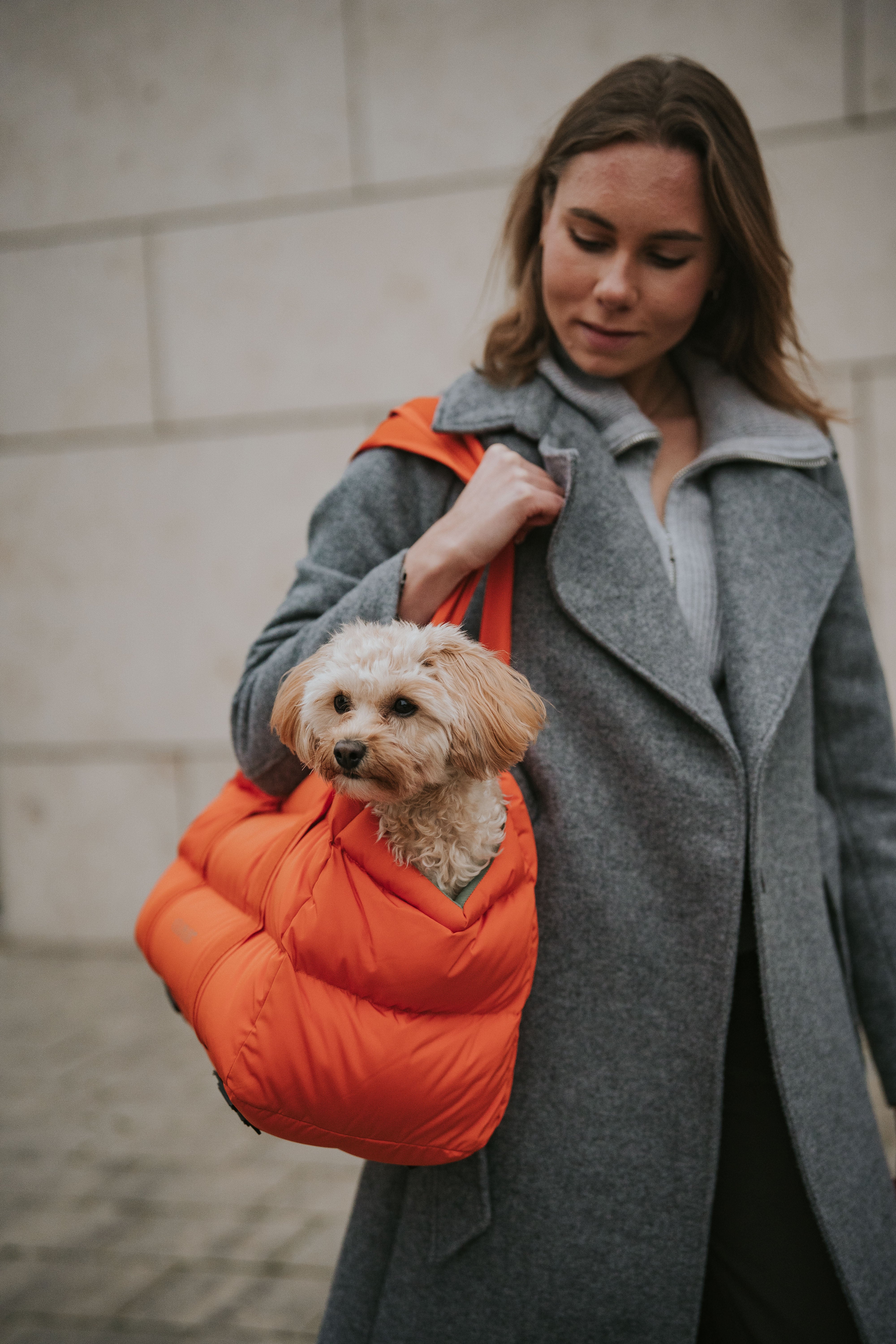 Cloud7 Hundetasche Montreal Burnt Orange Hundetragetasche Reisen Auto