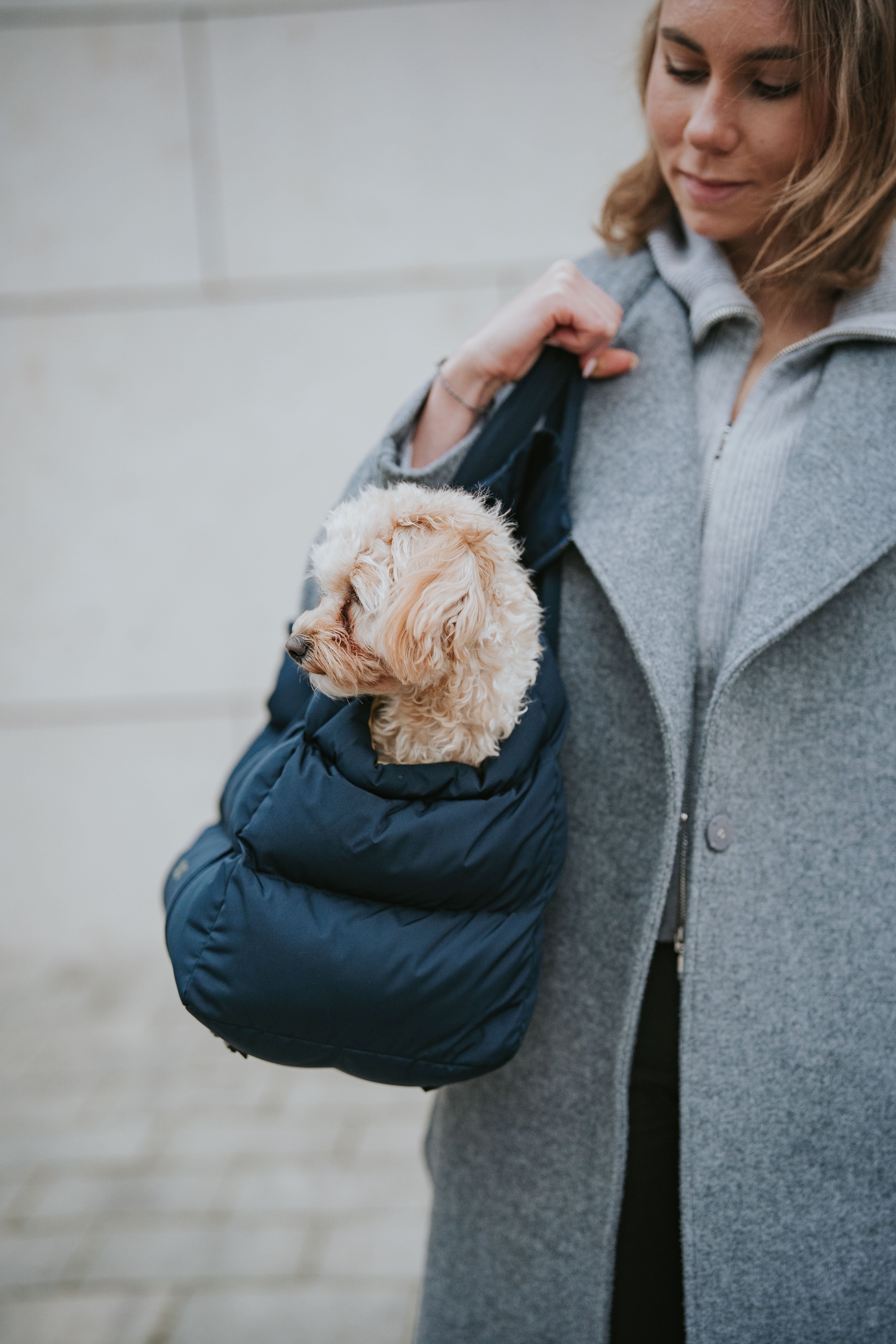 Cloud7 Hundetasche Montreal Navy Hundetragetasche kleine Hunde