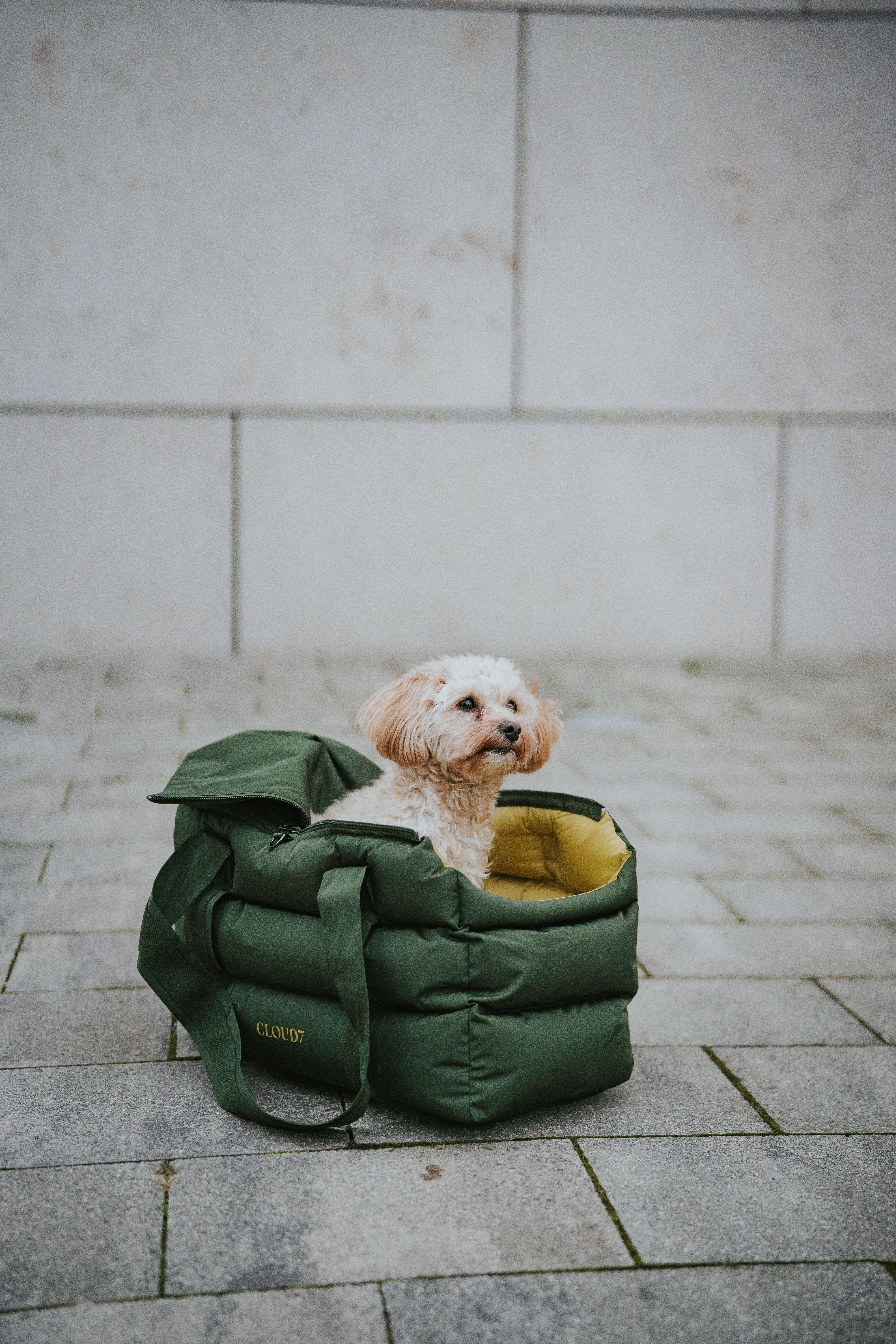 Cloud7 Hundetasche Montreal Olive Hundetasche Auto