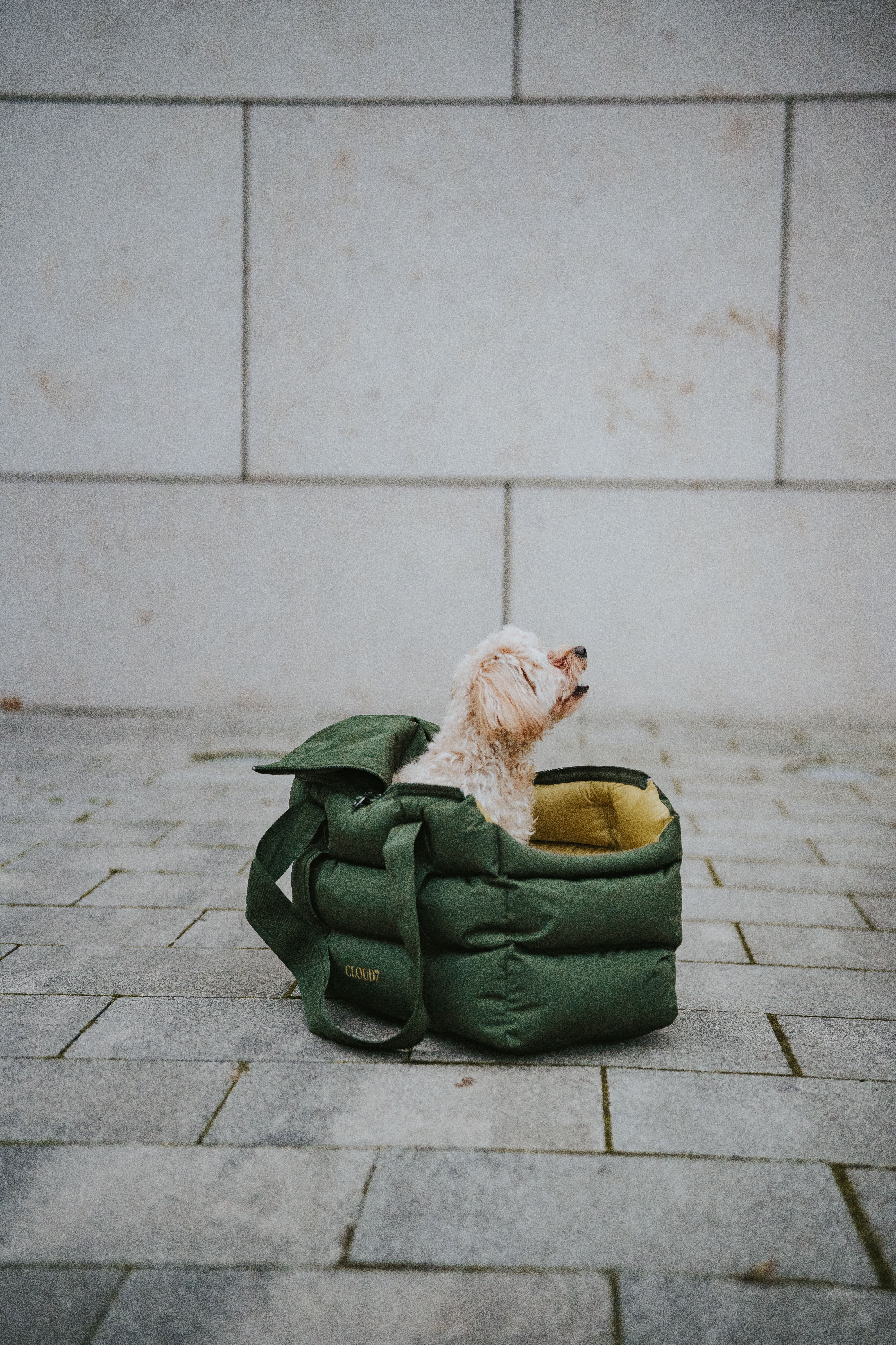 Cloud7 Hundetasche Montreal Olive Hundetasche Dackel