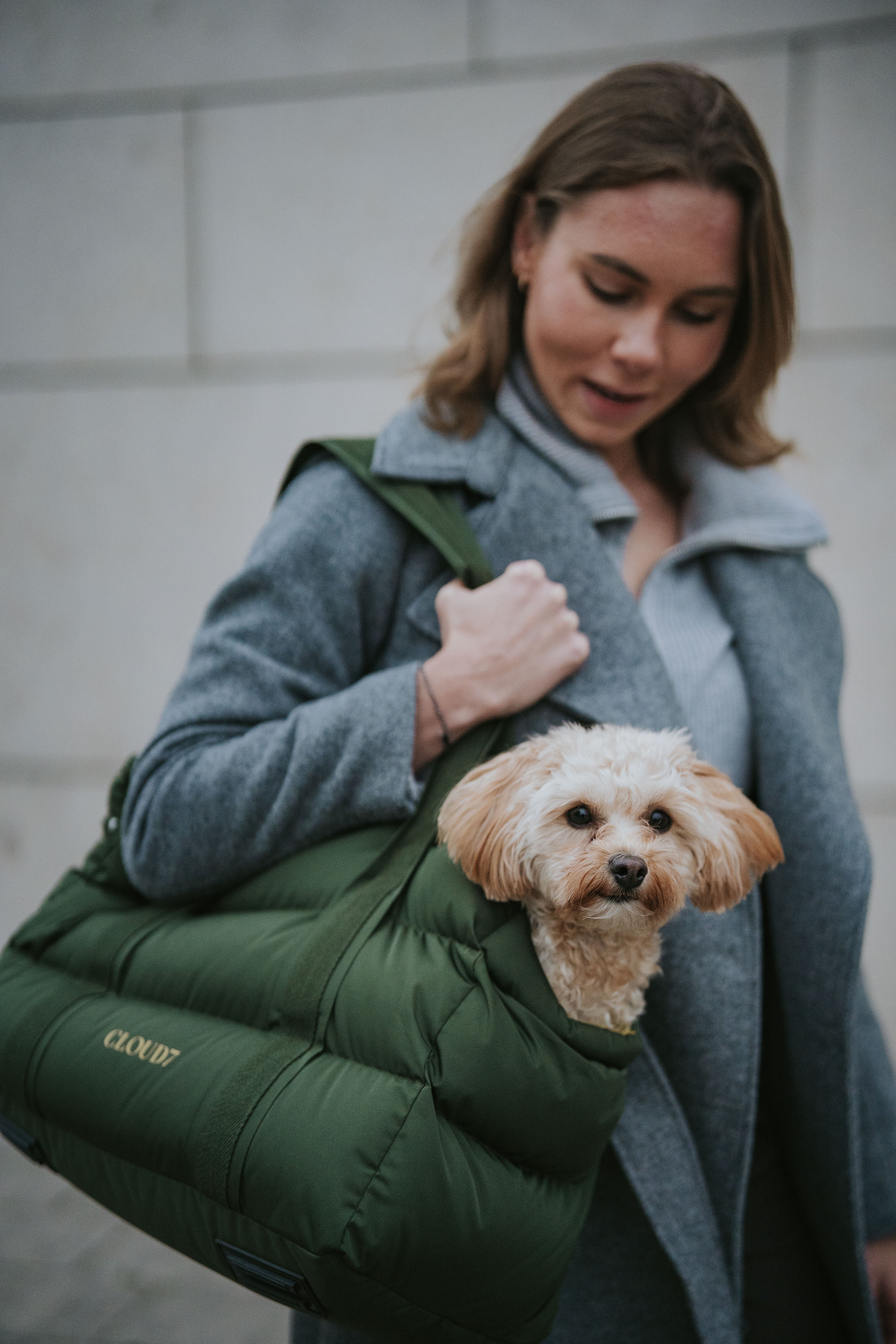 Cloud7 Hundetasche Montreal Olive Hundetasche für unterwegs