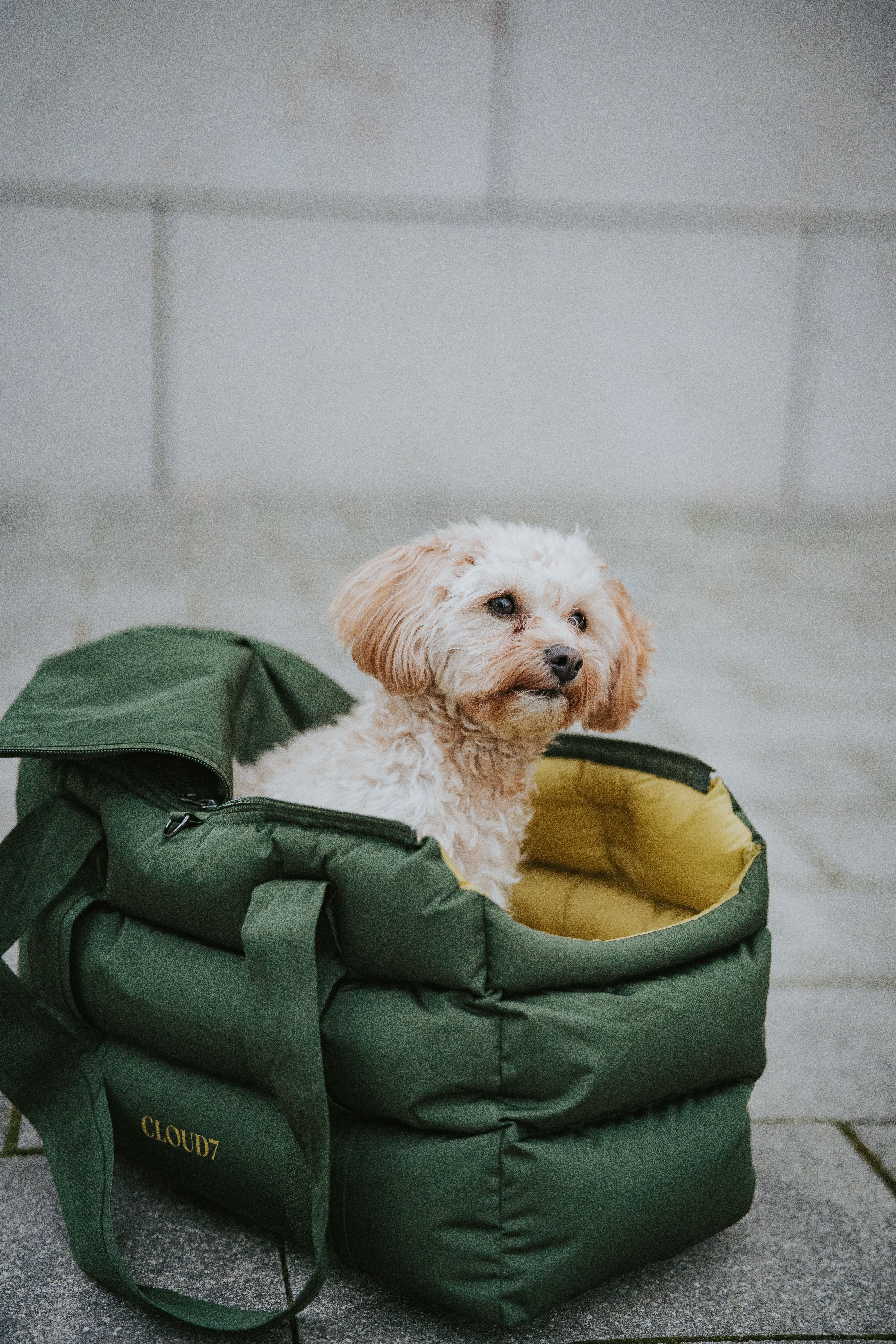 Cloud7 Hundetasche Montreal Olive Hundetragetasche Dunkelgrün Dackel