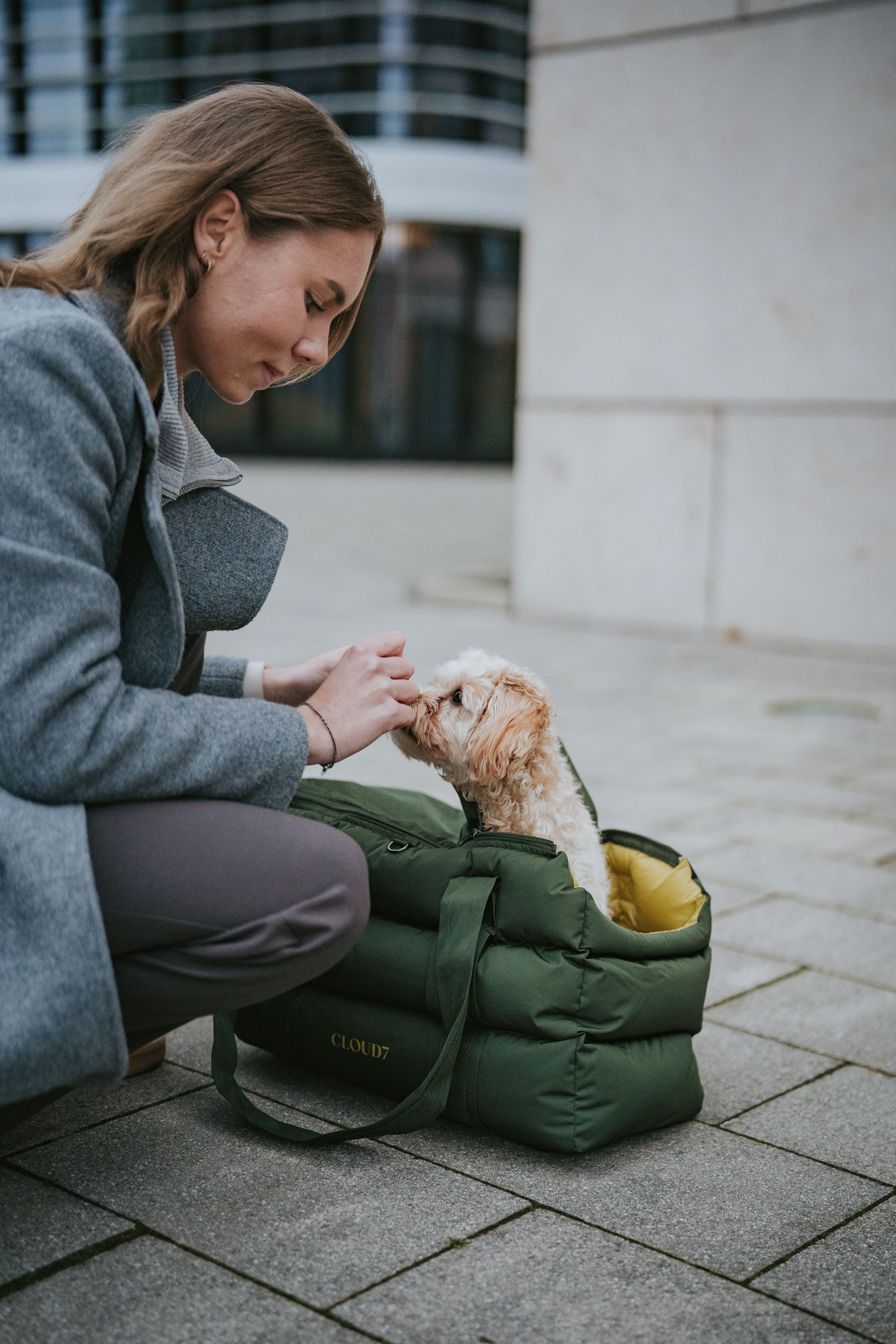 Cloud7 Hundetasche Montreal Olive Hundetragetasche gefüttert