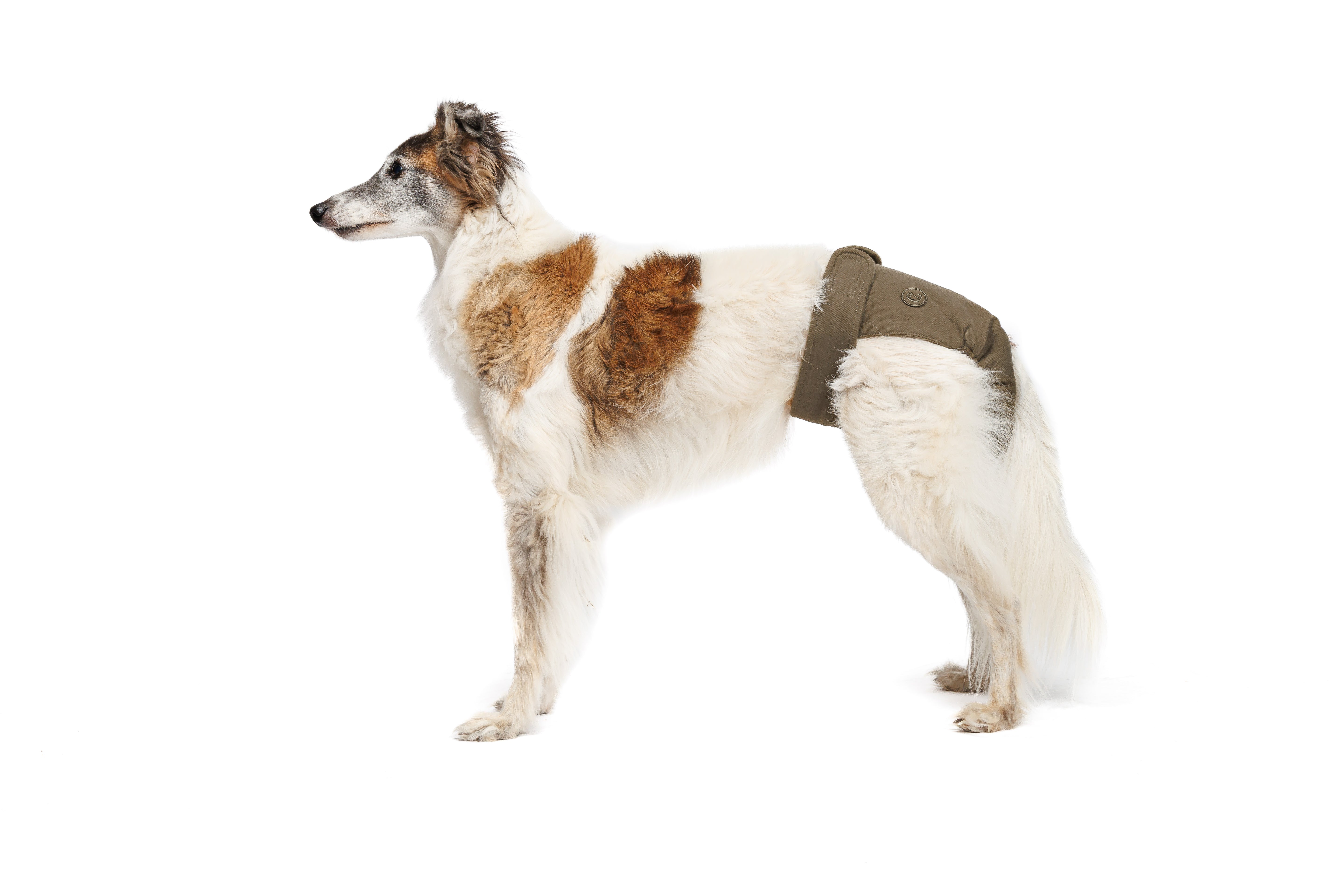 Cloud7 Läufigkeitshöschen Olive Windel für Hunde