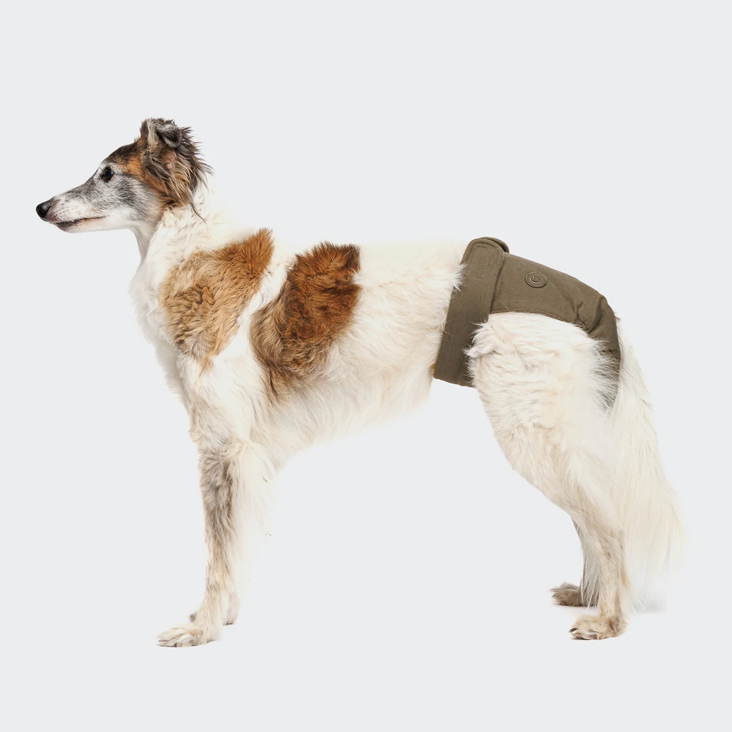 Cloud7 Läufigkeitshöschen Olive Windel für Hunde Läufigkeit Panties für Hunde