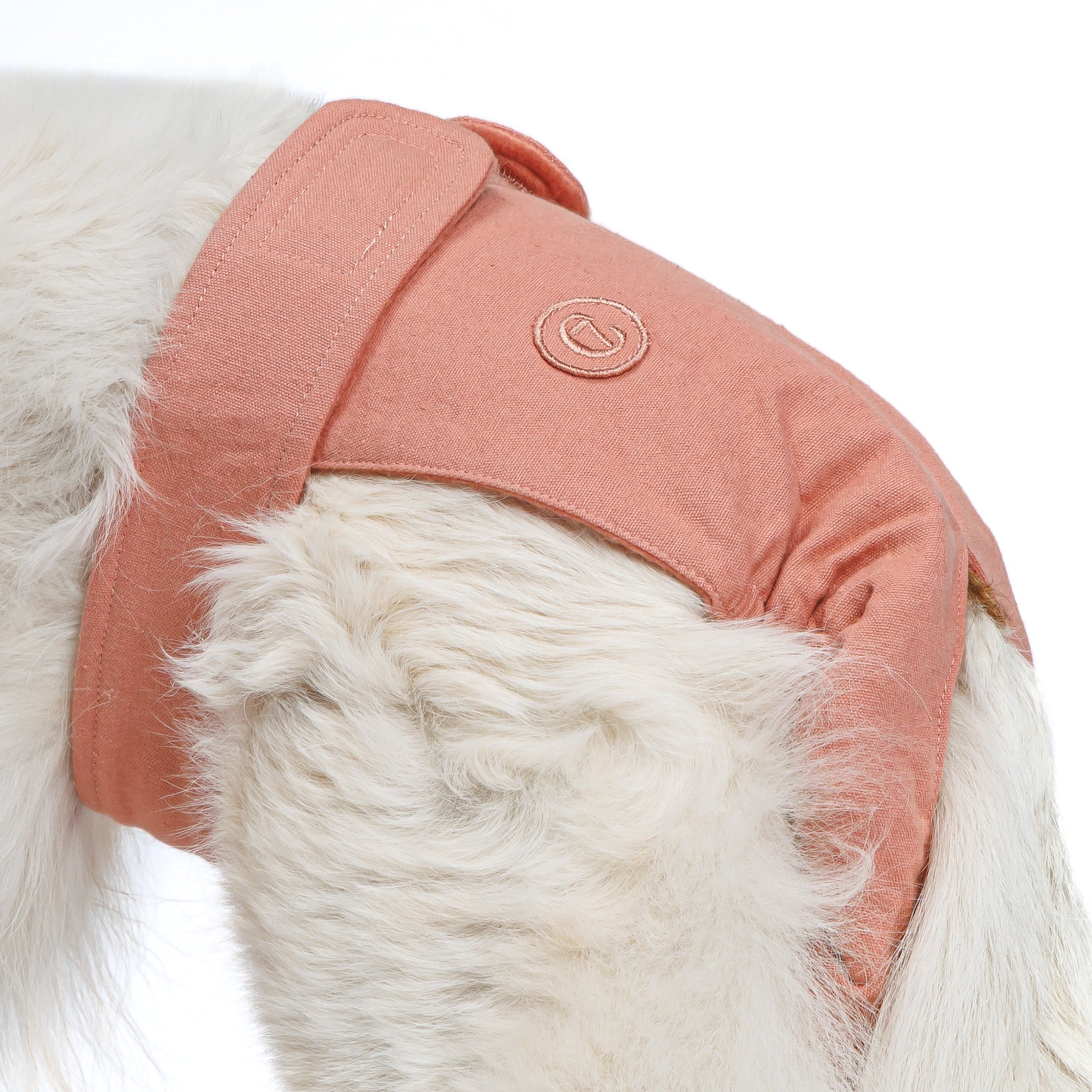 Cloud7 Läufigkeitshöschen Rose Windel für Hunde Parties