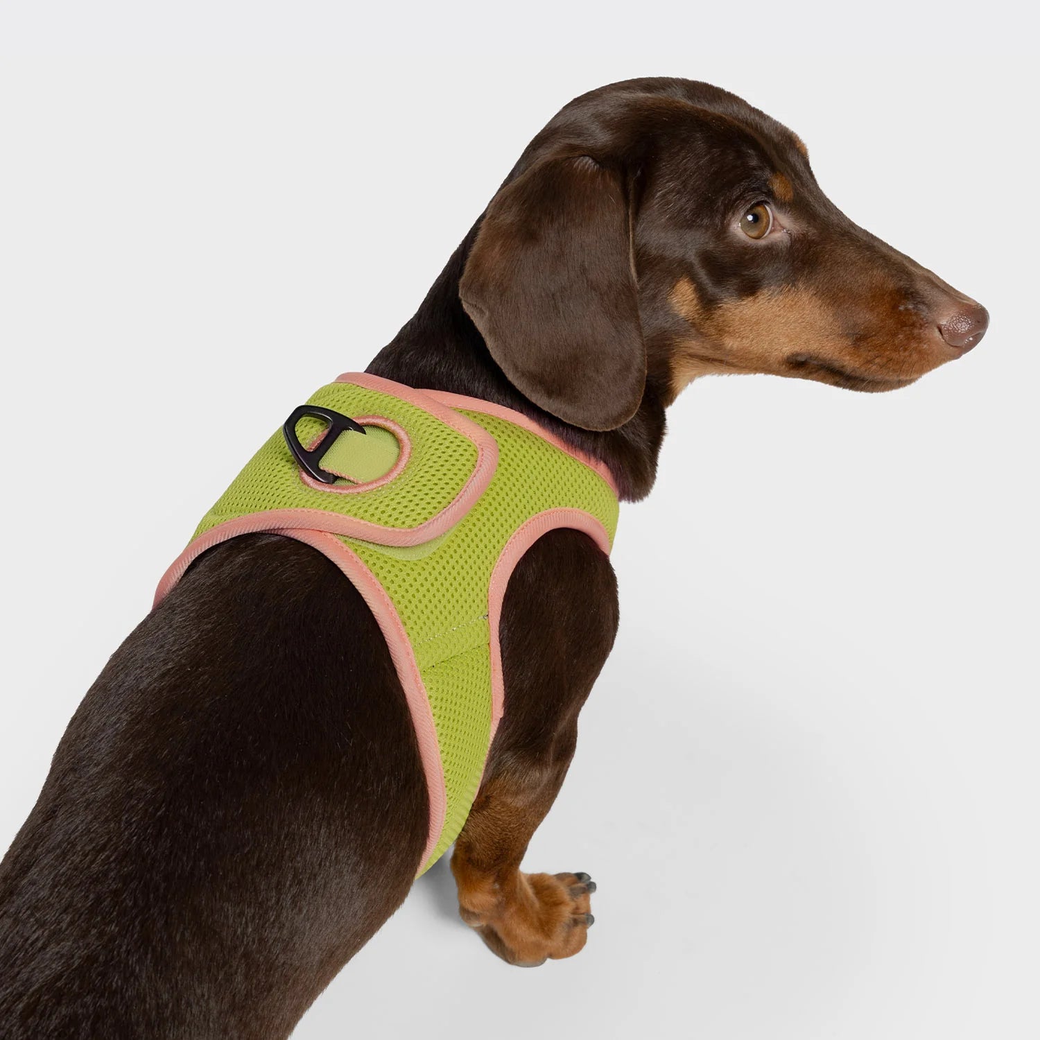 Cloud7 V-1 Westengeschirr AKTIV Air-Mesh Peach/Neon Green Hundegeschirr für kleine Hunde