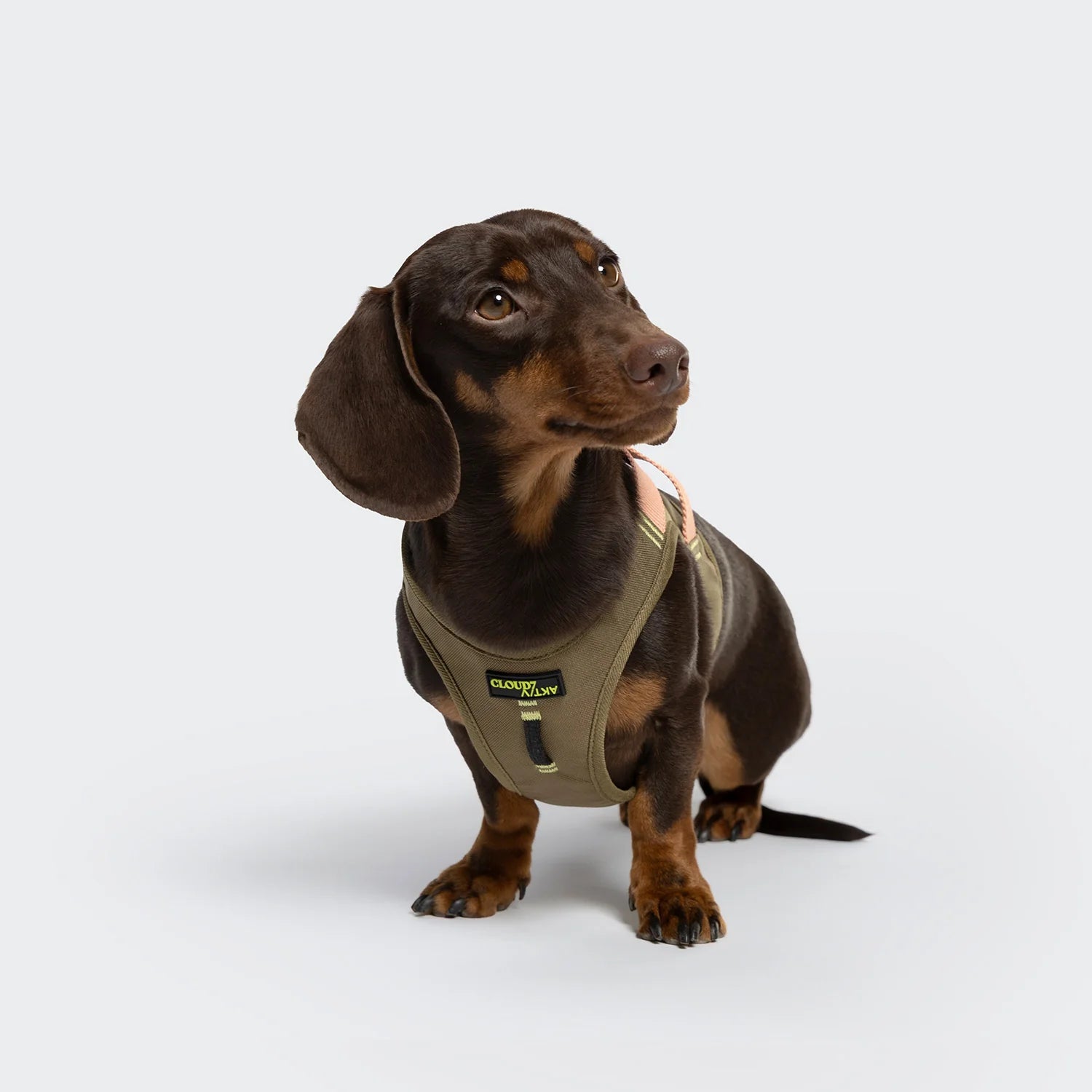 Cloud7 V-2 Westengeschirr AKTIV Cordura Khaki/Peach Hundegeschirr