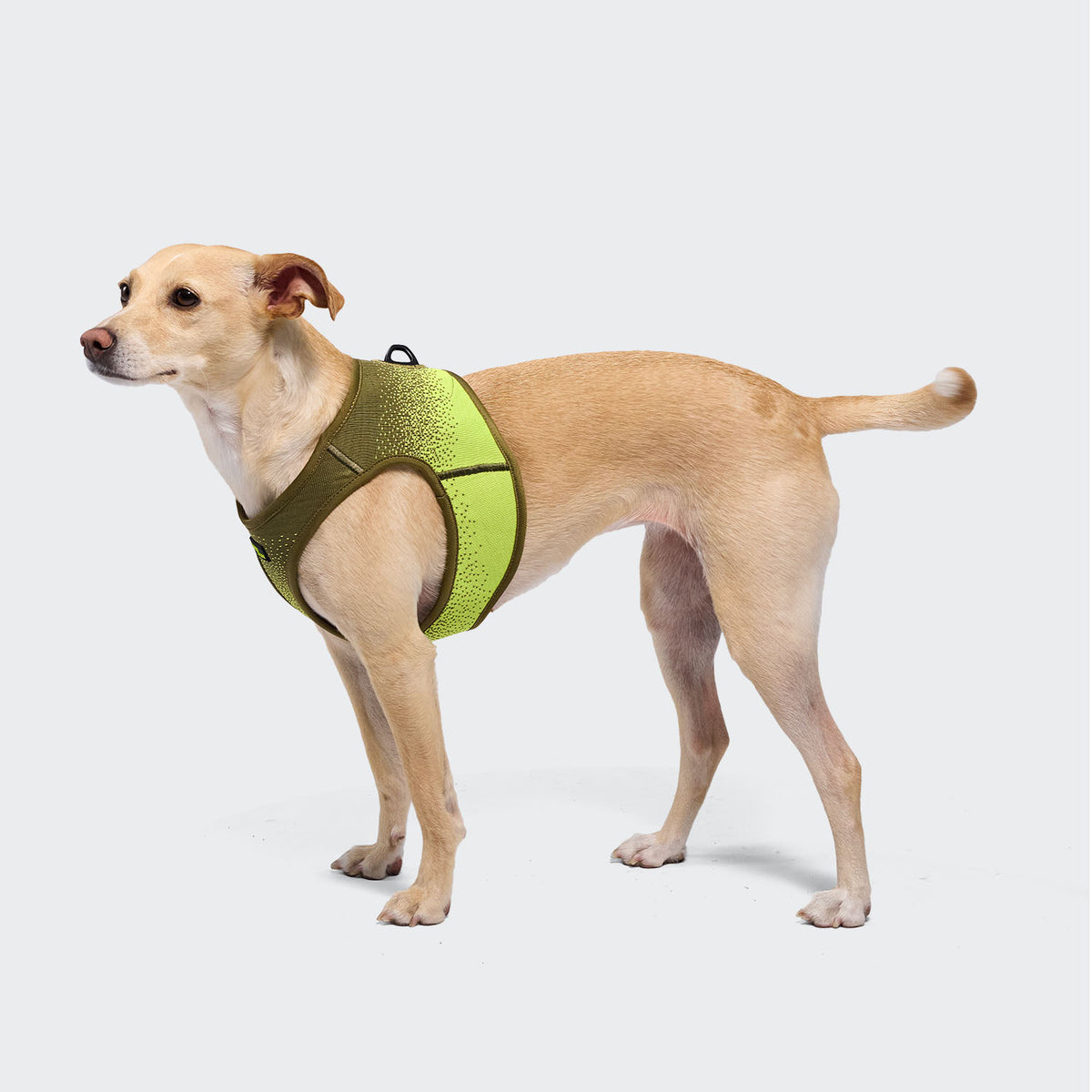 Cloud7 V-3 Westengeschirr AKTIV Knit Khaki/Neon Green Dog Harness