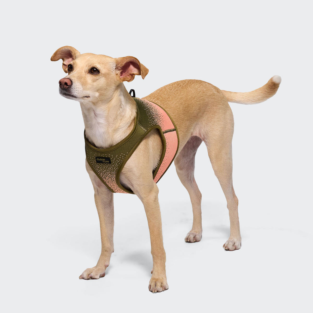 Cloud7 V-3 Westengeschirr AKTIV Knit Khaki/Peach Dog Harness