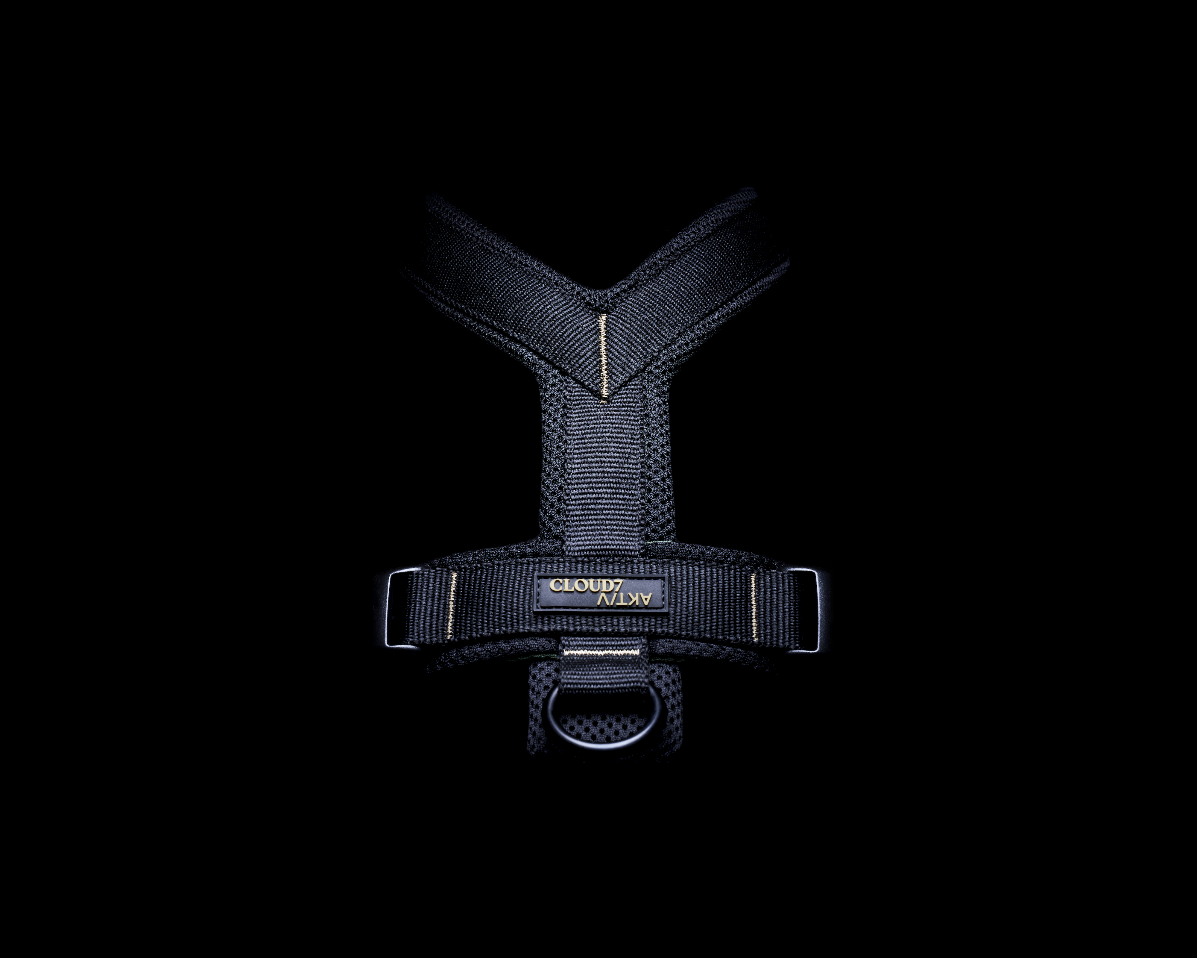 Cloud7 Y-1-Harness AKTIV Black Geschirr für Hunde Sport mit Hund Hundegeschirr gepolstert
