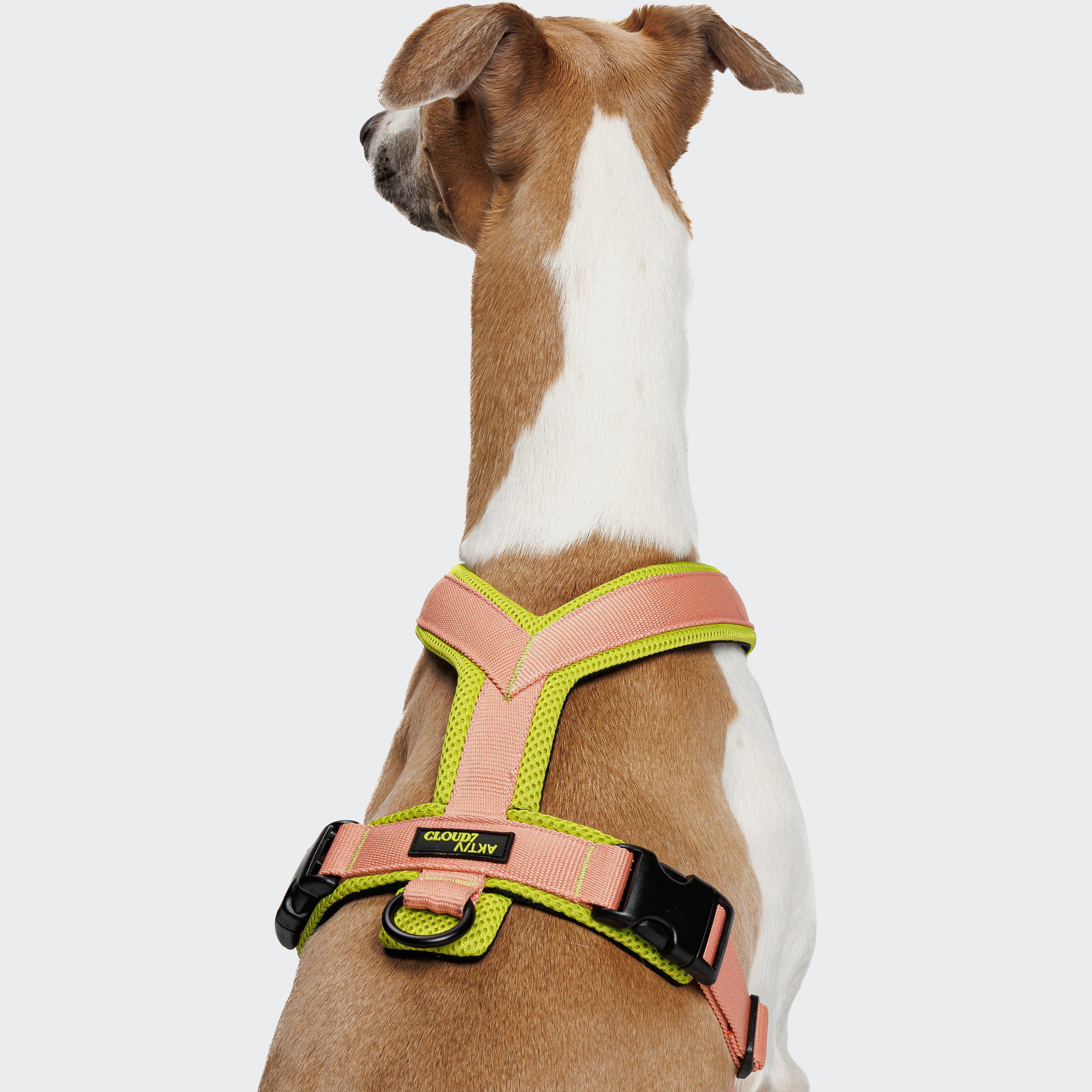 Cloud7 Y-1-Harness Peach / Neon Green
Hundegeschirr zum Joggen
