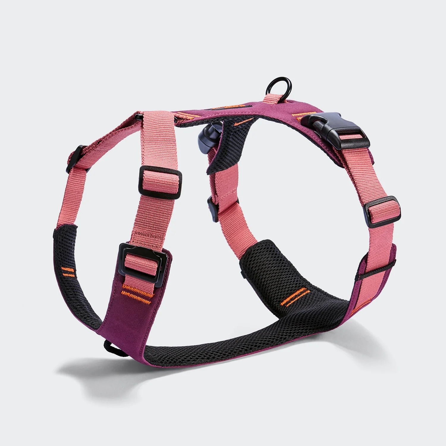 Cloud7 Y-2 Geschirr AKTIV Aubergine/Soft Rose Hundegeschirr
