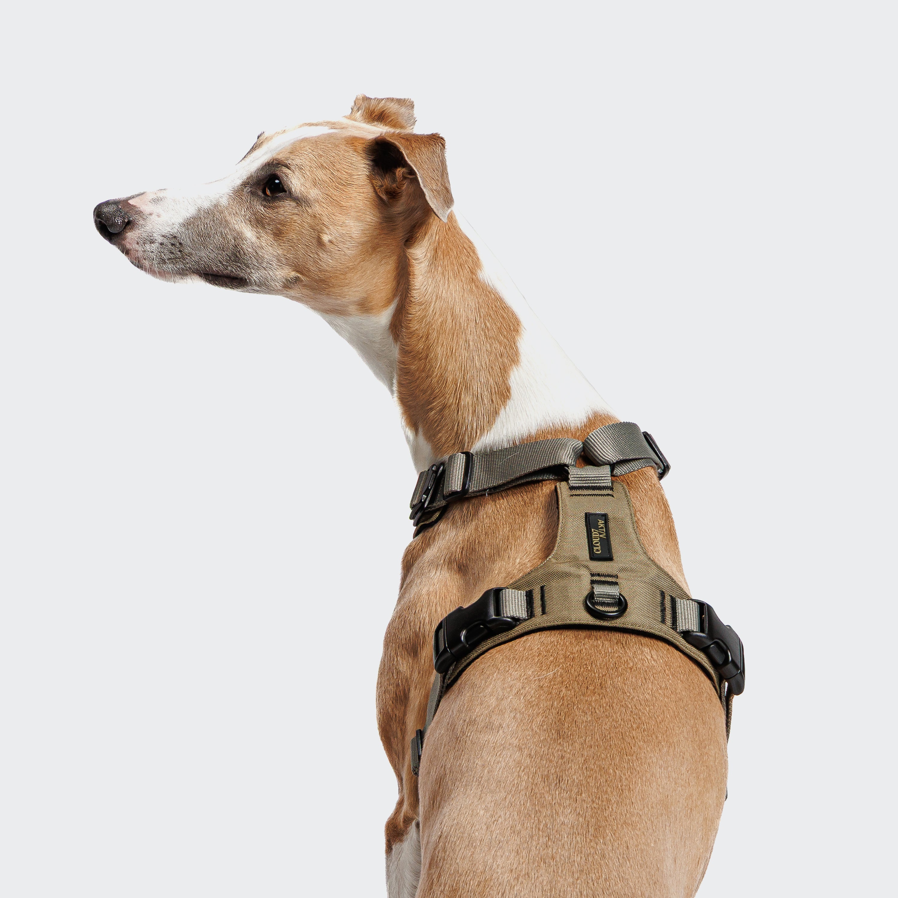 Cloud7 Y-2-Harness AKTIV Khaki / Grey Hundegeschirr wasserabweisend