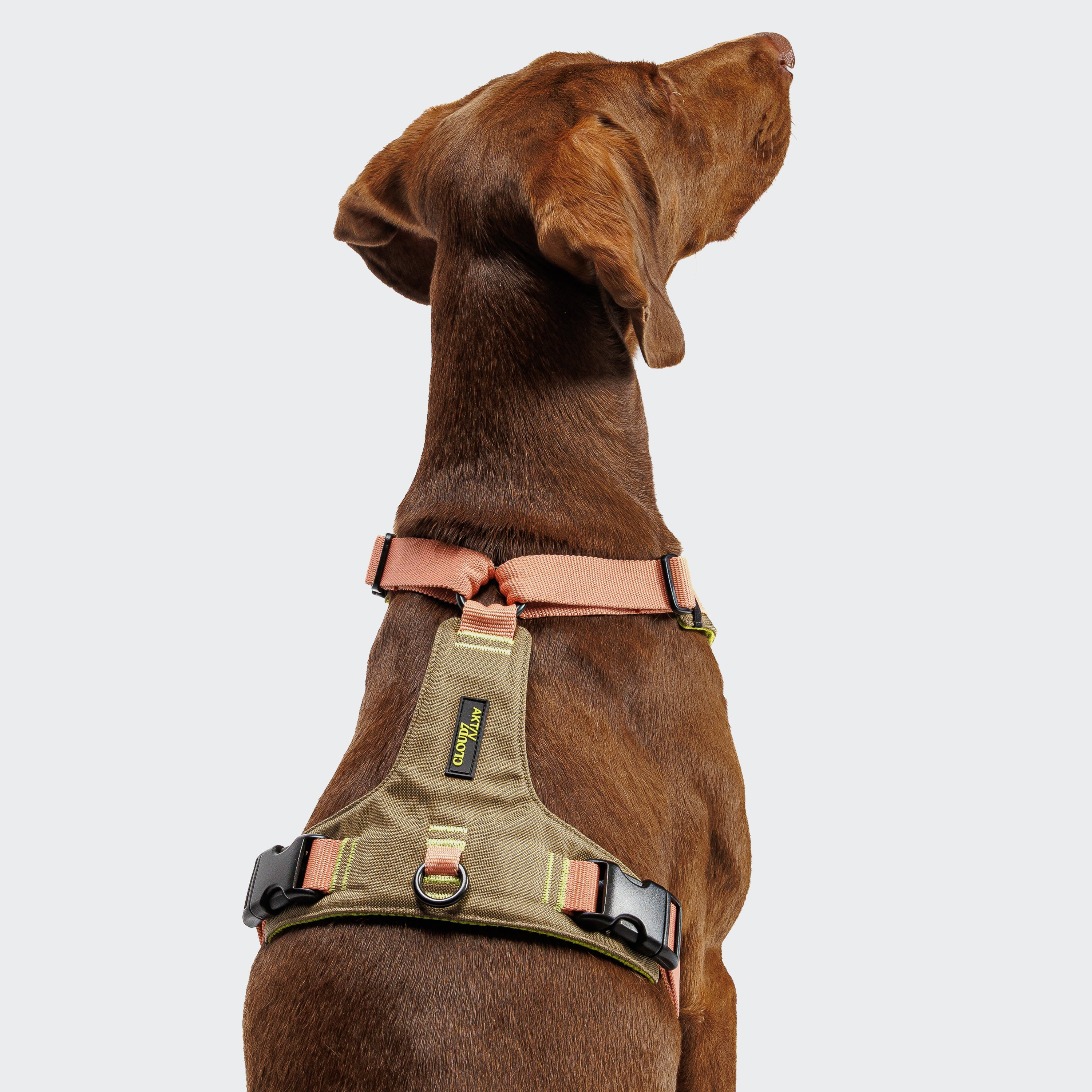 Cloud7 Y-2-Harness AKTIV Khaki / Peach Hundegeschirr Sport mit Hund