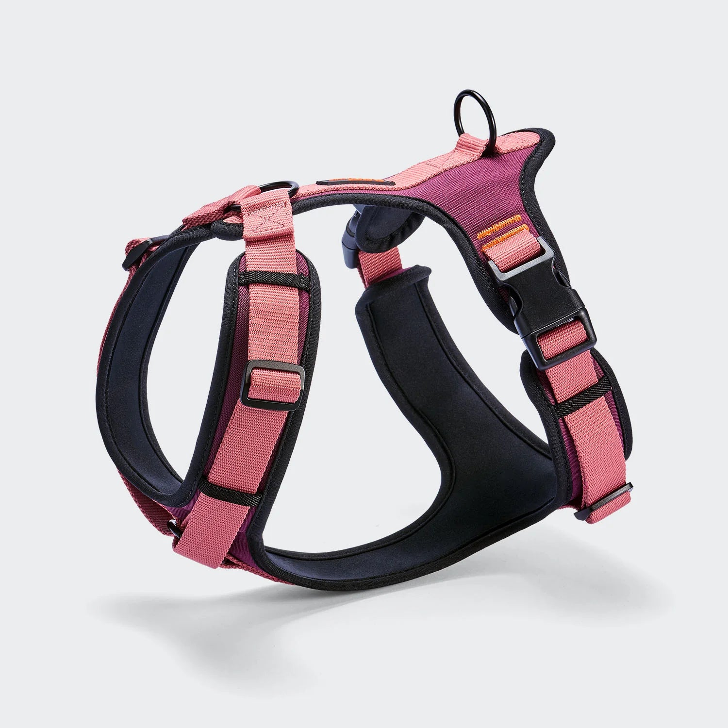 Cloud7 Y-3 Geschirr AKTIV Softshell Aubergine/Soft Rose Hundegeschirr wasserabweisend