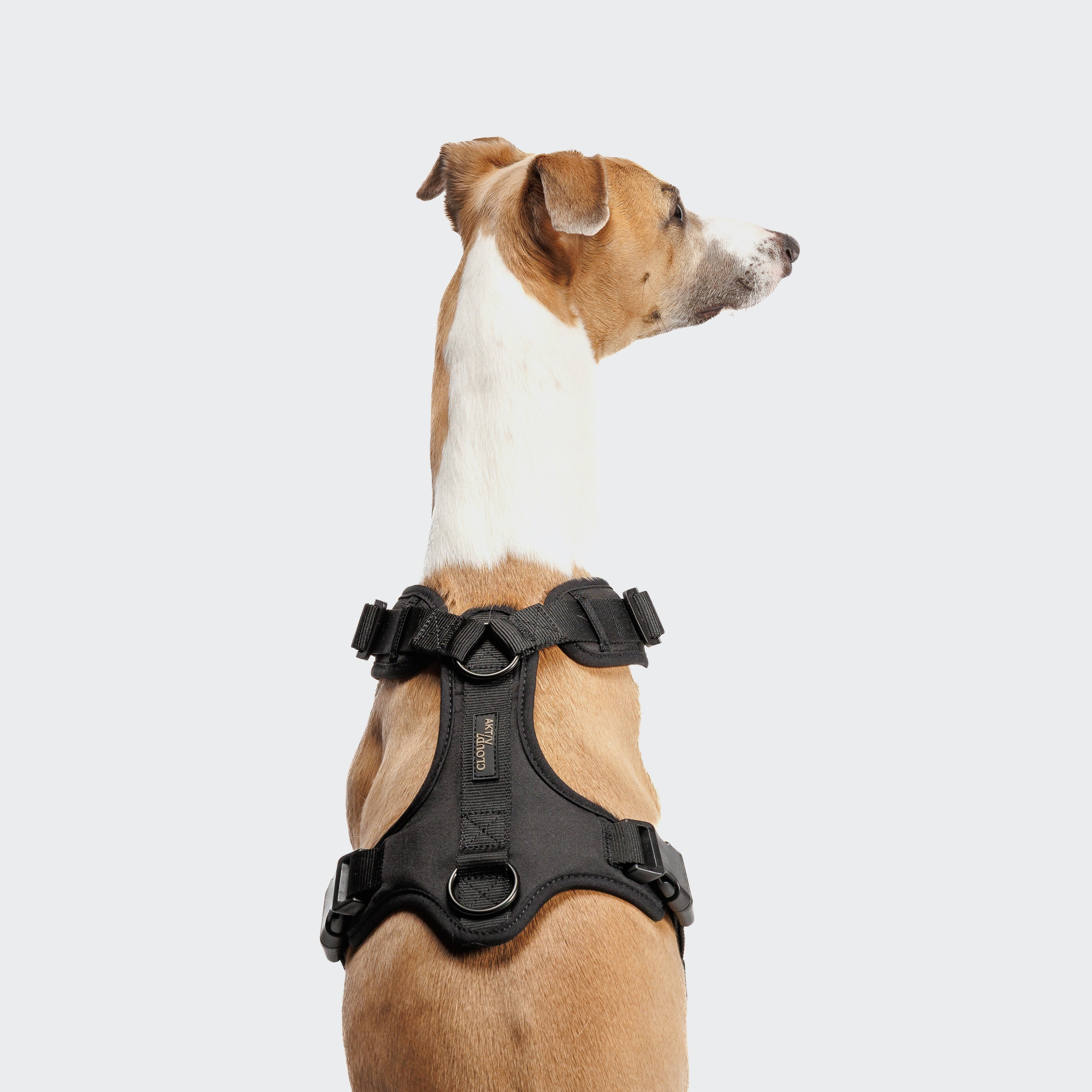 Cloud7 Y-3-Harness AKTIV Black Geschirr für Hunde Sport mit Hund
