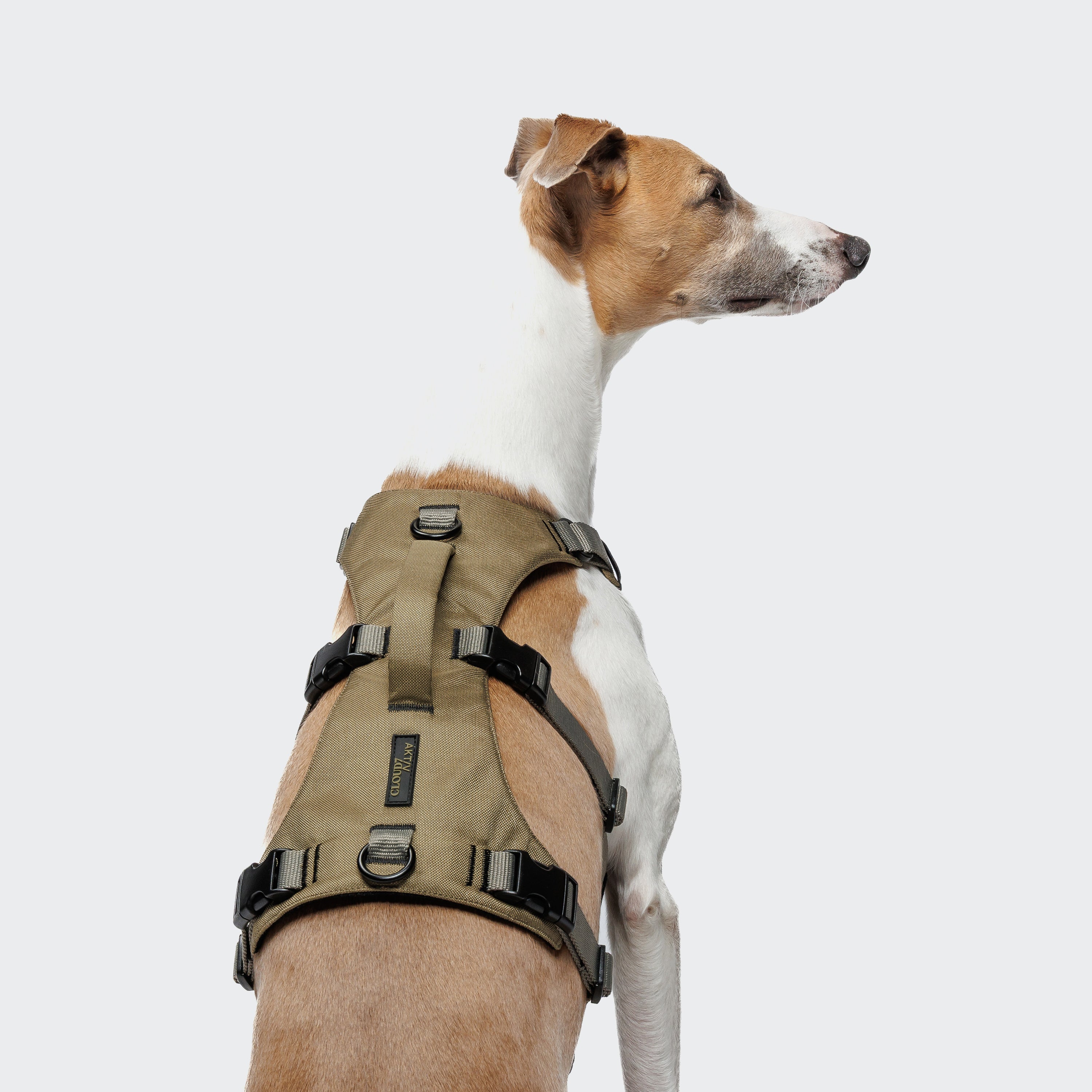 Cloud7 Y-Safe-Harness Khaki / Grey Sicherheitsgeschirr für Hunde