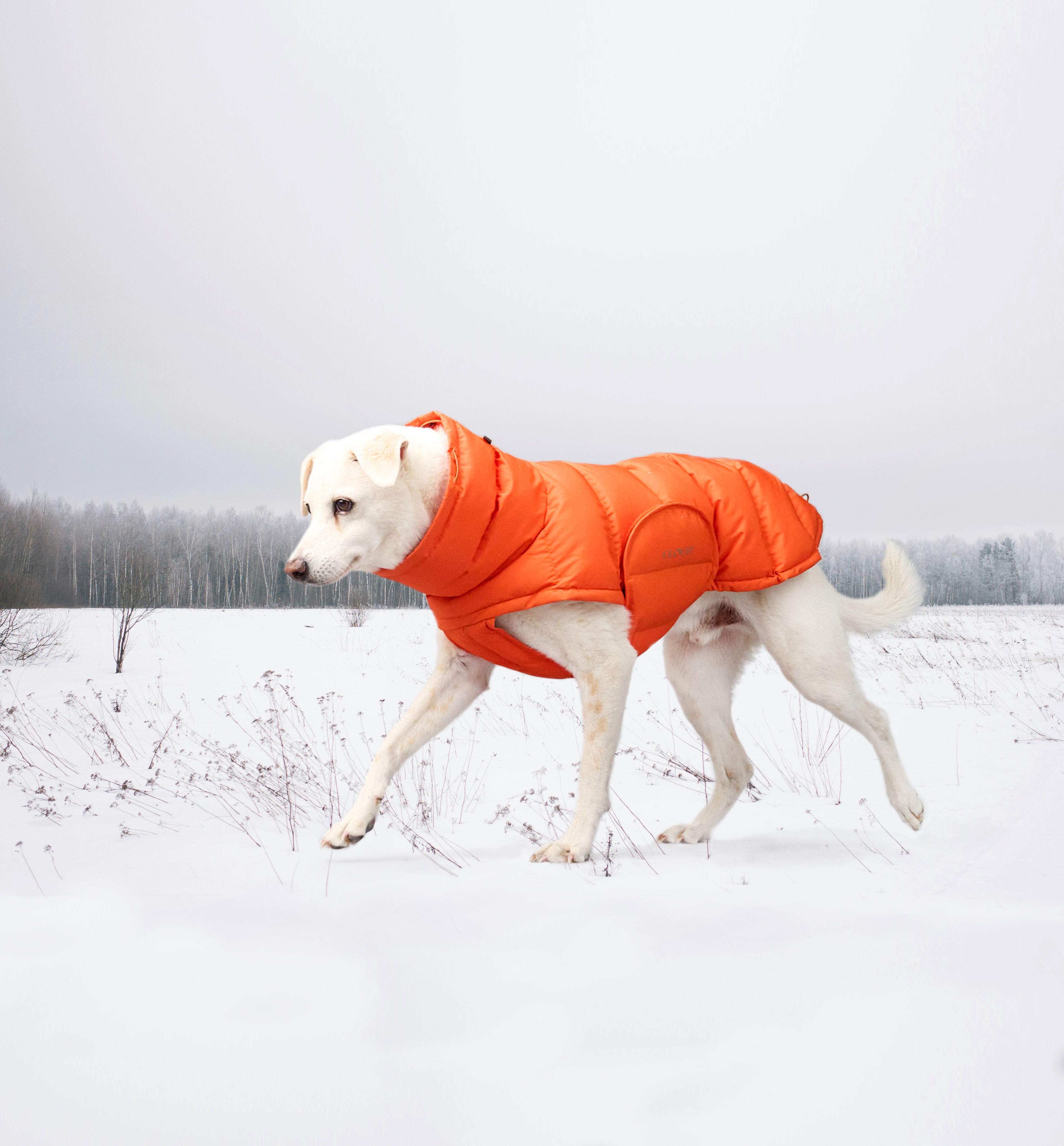 Cloud7 Hundemantel Alaska Burnt Orange Hundemantel Winter