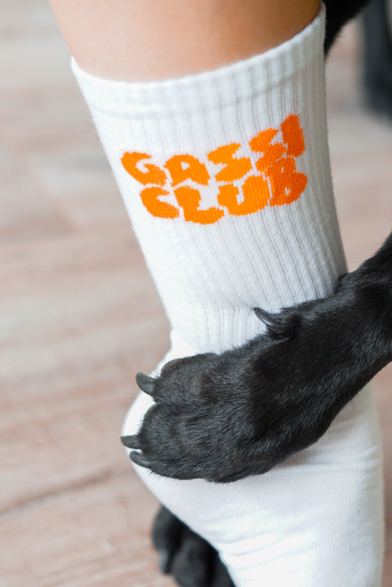 HEJ NIKA Bio-Baumwoll Tennis Socken "GASSI CLUB" Dog Fashion