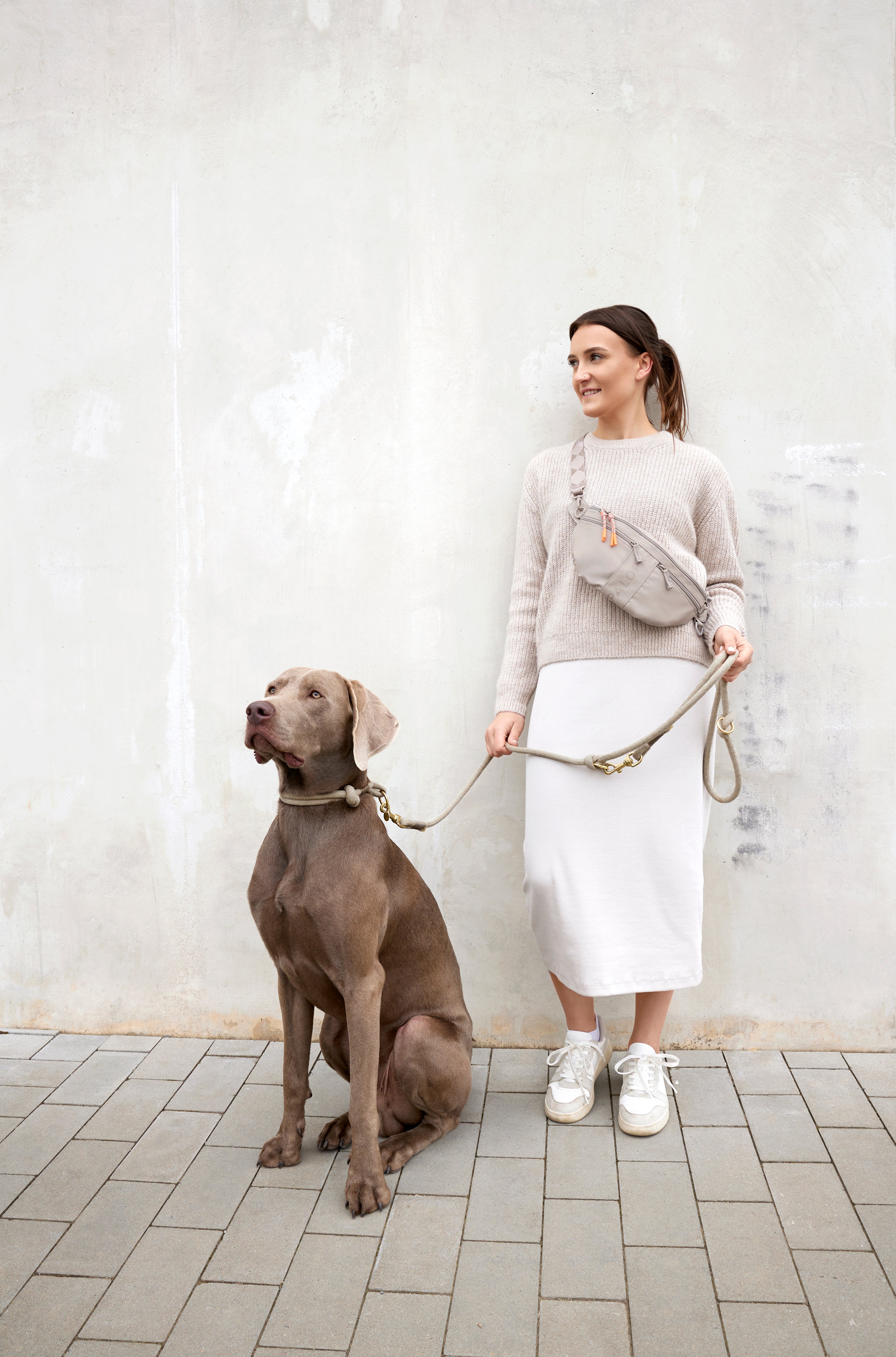 PALOPA Hunde Leckerlibeutel Emma Taupe Tasche für Leckerlis