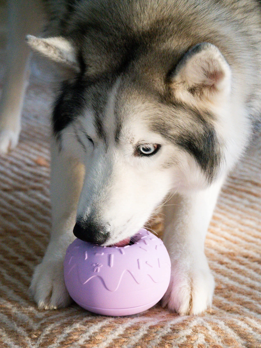 INOOKO Yoomy Donut Beschaeftigungsspielzeug Lavendel Antischlingnapf für Hunde