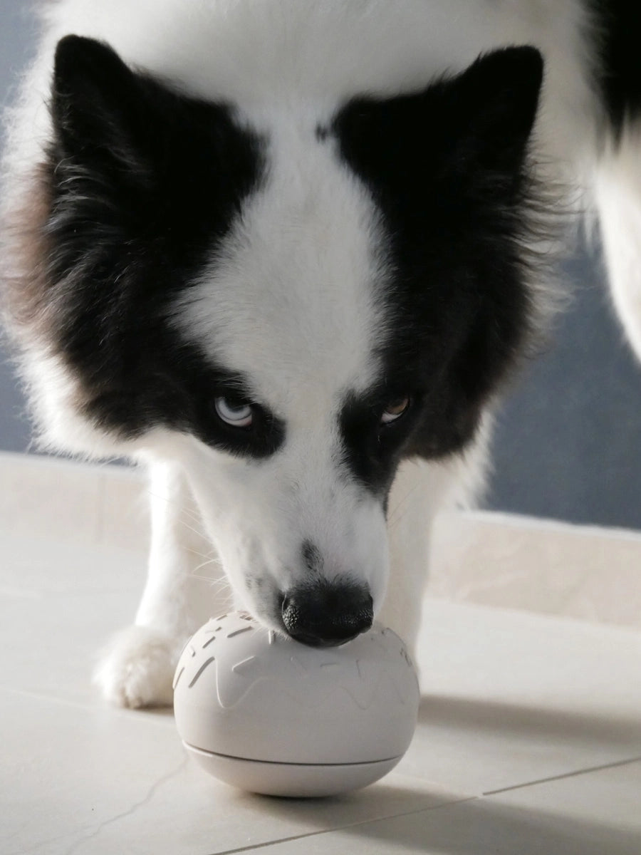 INOOKO Yoomy Donut Beschäftigungsspielzeug Sand Schleckspielzeug für Hunde